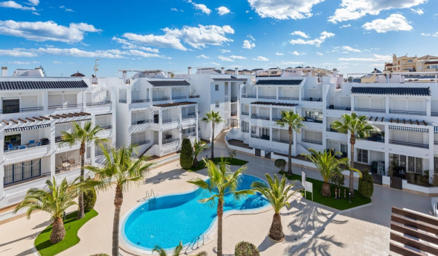 Mieszkanie w bloku - Odsprzedaż - Torrevieja - 89614