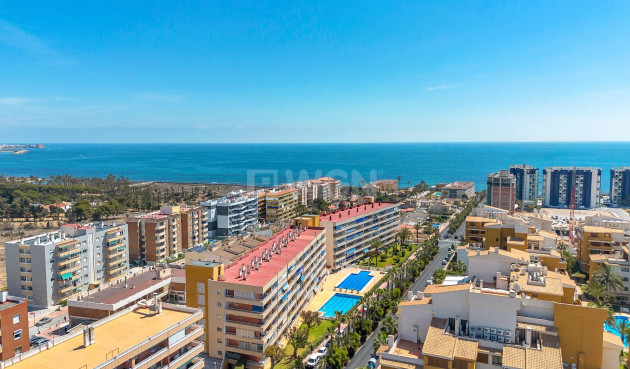 Mieszkanie w bloku - Odsprzedaż - Torrevieja - Costa Blanca