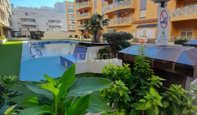 Mieszkanie w bloku - Odsprzedaż - Torrevieja - Costa Blanca
