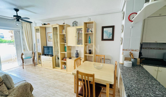 Mieszkanie w bloku - Odsprzedaż - Torrevieja - Costa Blanca