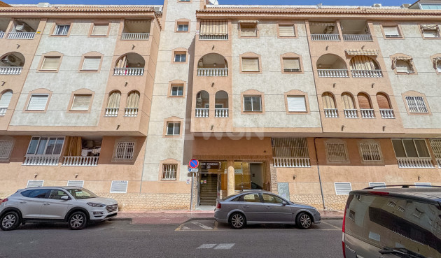 Mieszkanie w bloku - Odsprzedaż - Torrevieja - Costa Blanca