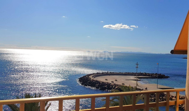 Mieszkanie w bloku - Odsprzedaż - Torrevieja - Estacion De Autobuses