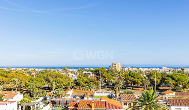 Mieszkanie w bloku - Odsprzedaż - Torrevieja - Nueva Torrevieja