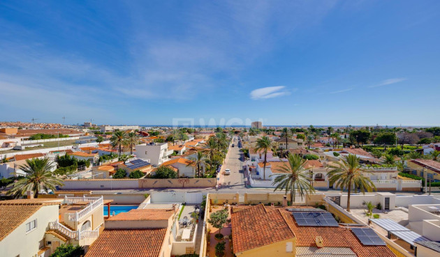 Mieszkanie w bloku - Odsprzedaż - Torrevieja - Nueva Torrevieja