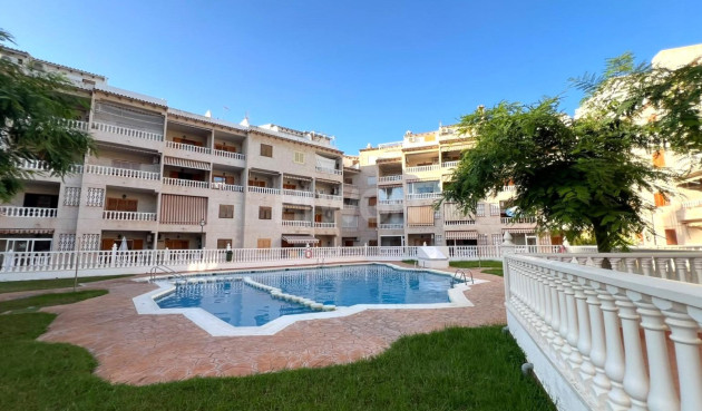 Mieszkanie w bloku - Odsprzedaż - Torrevieja - Playa de los Locos