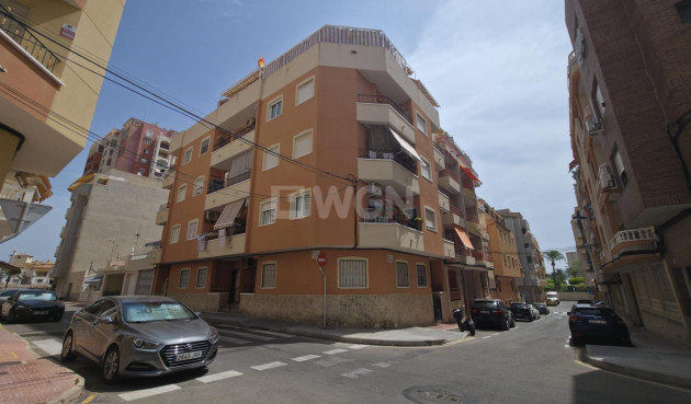 Mieszkanie w bloku - Odsprzedaż - Torrevieja - Playa de los Locos