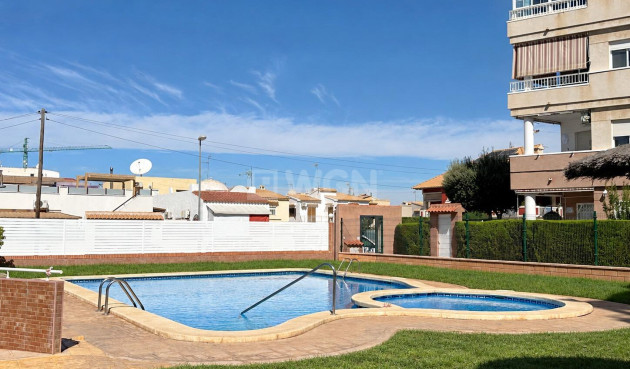 Mieszkanie w bloku - Odsprzedaż - Torrevieja - Torrevieja