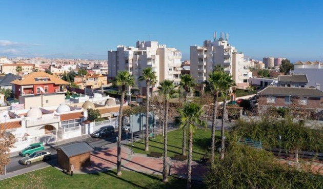 Mieszkanie w bloku - Odsprzedaż - Torrevieja - Torrevieja