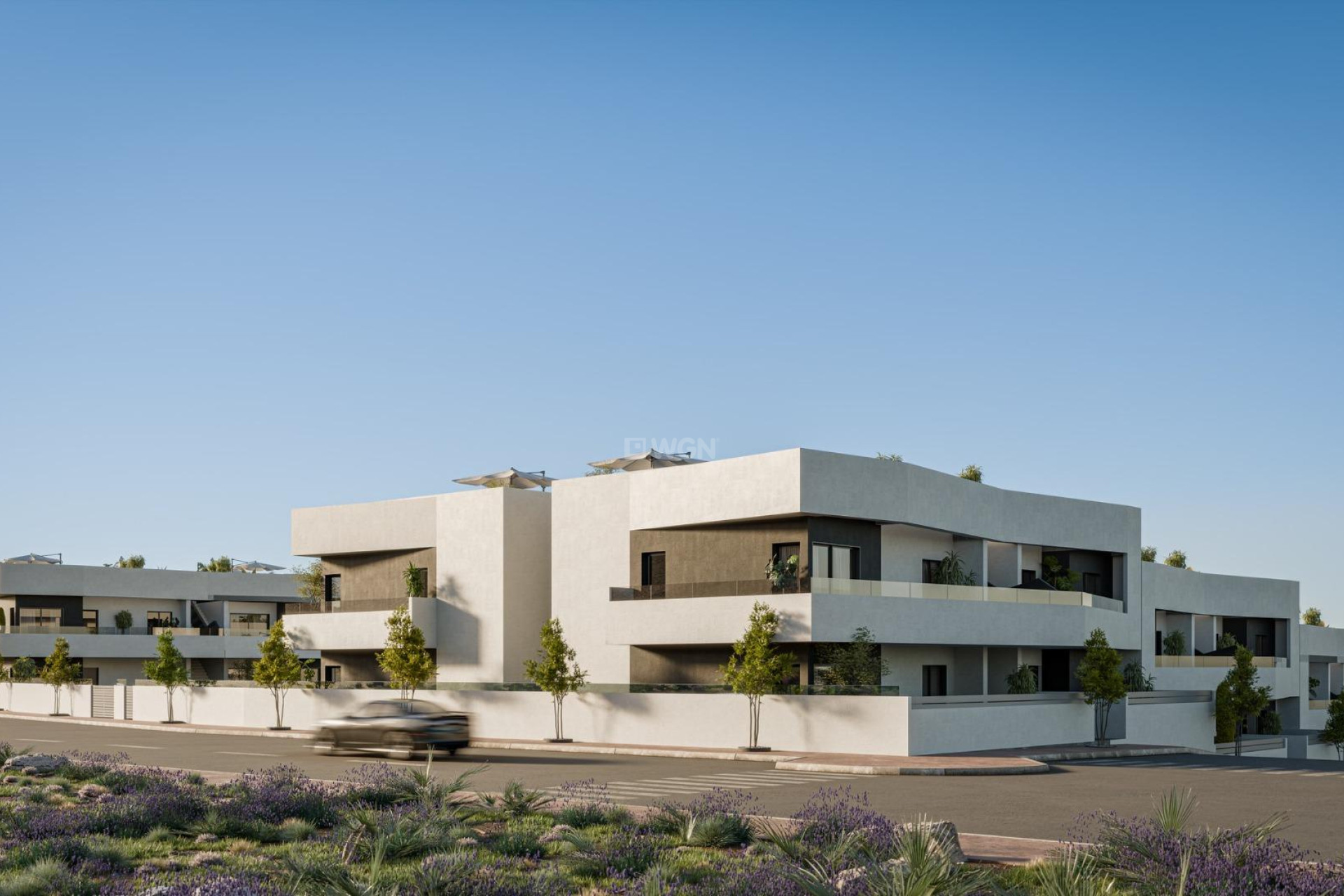 Neue Gebäude - Bungalow - San Miguel de Salinas - Pueblo