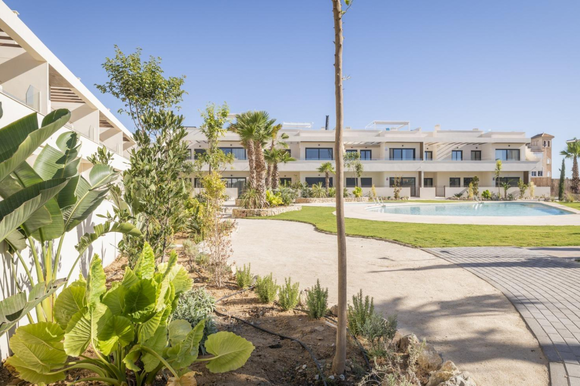 Neue Gebäude - Bungalow - Torrevieja - Villa Amalia