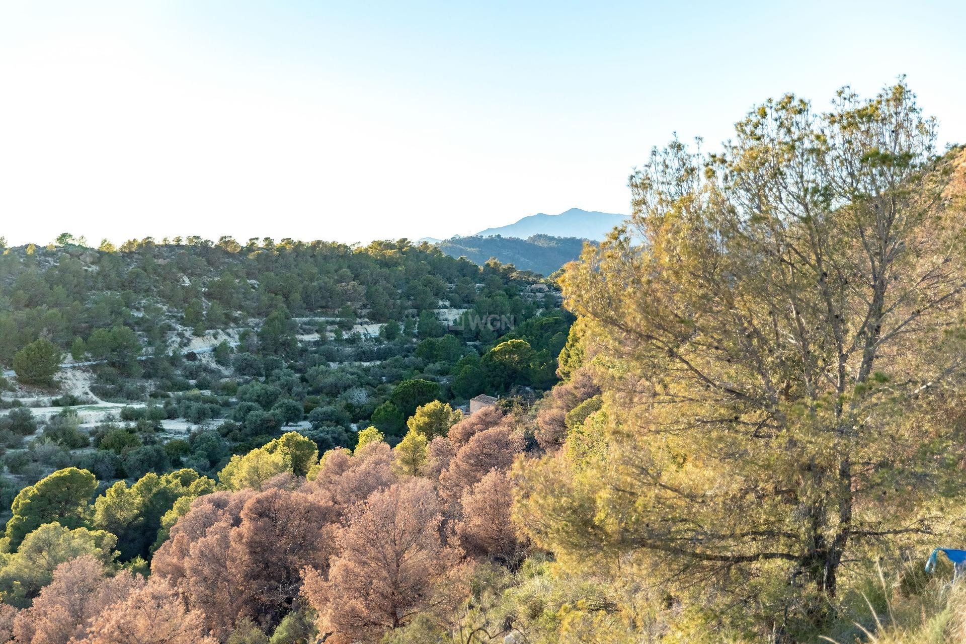 Neue Gebäude - Wohnung - Finestrat - Balcón De Finestrat