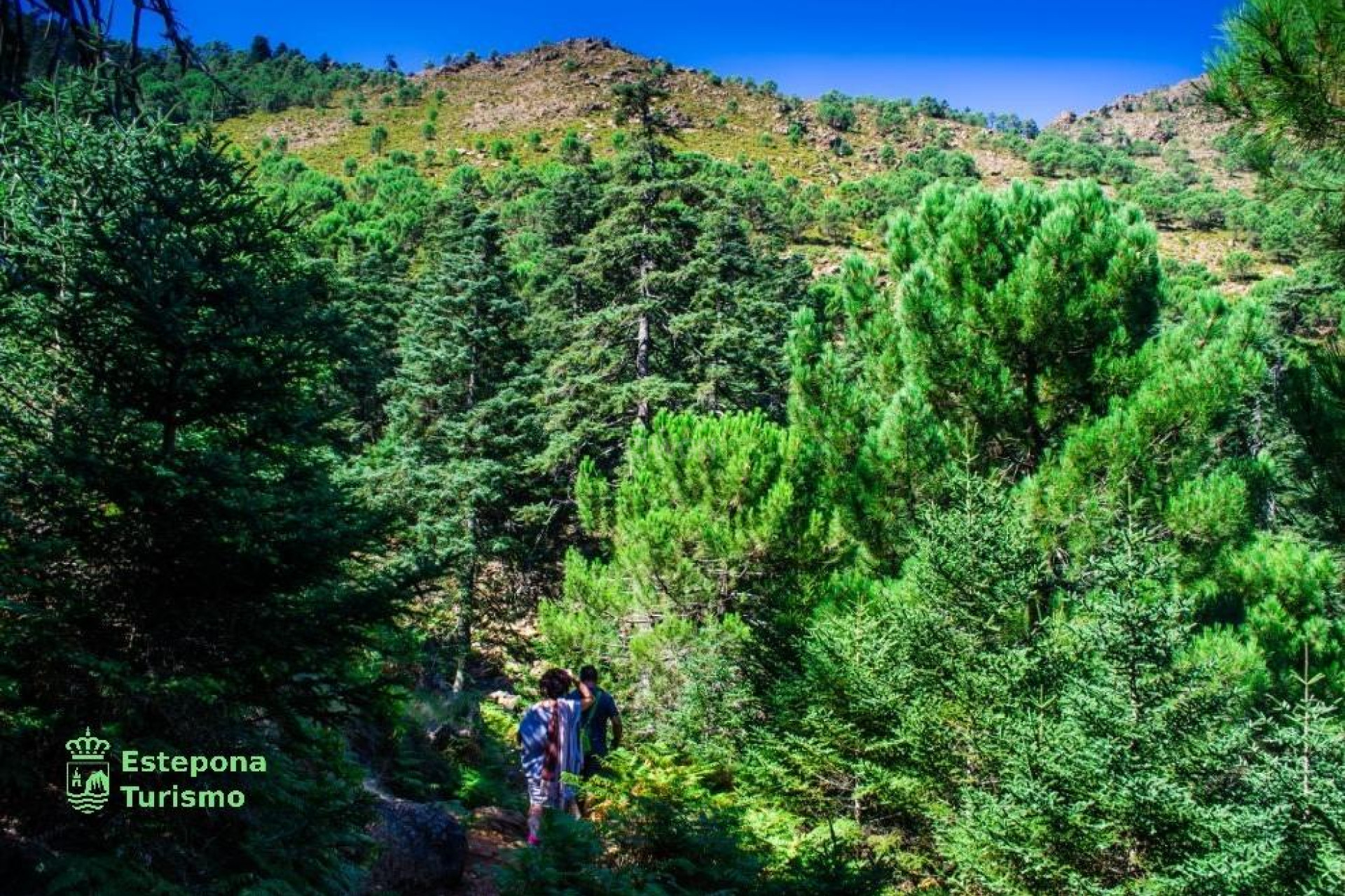 New Build - Apartment / flat - Estepona - Playa de La Rada