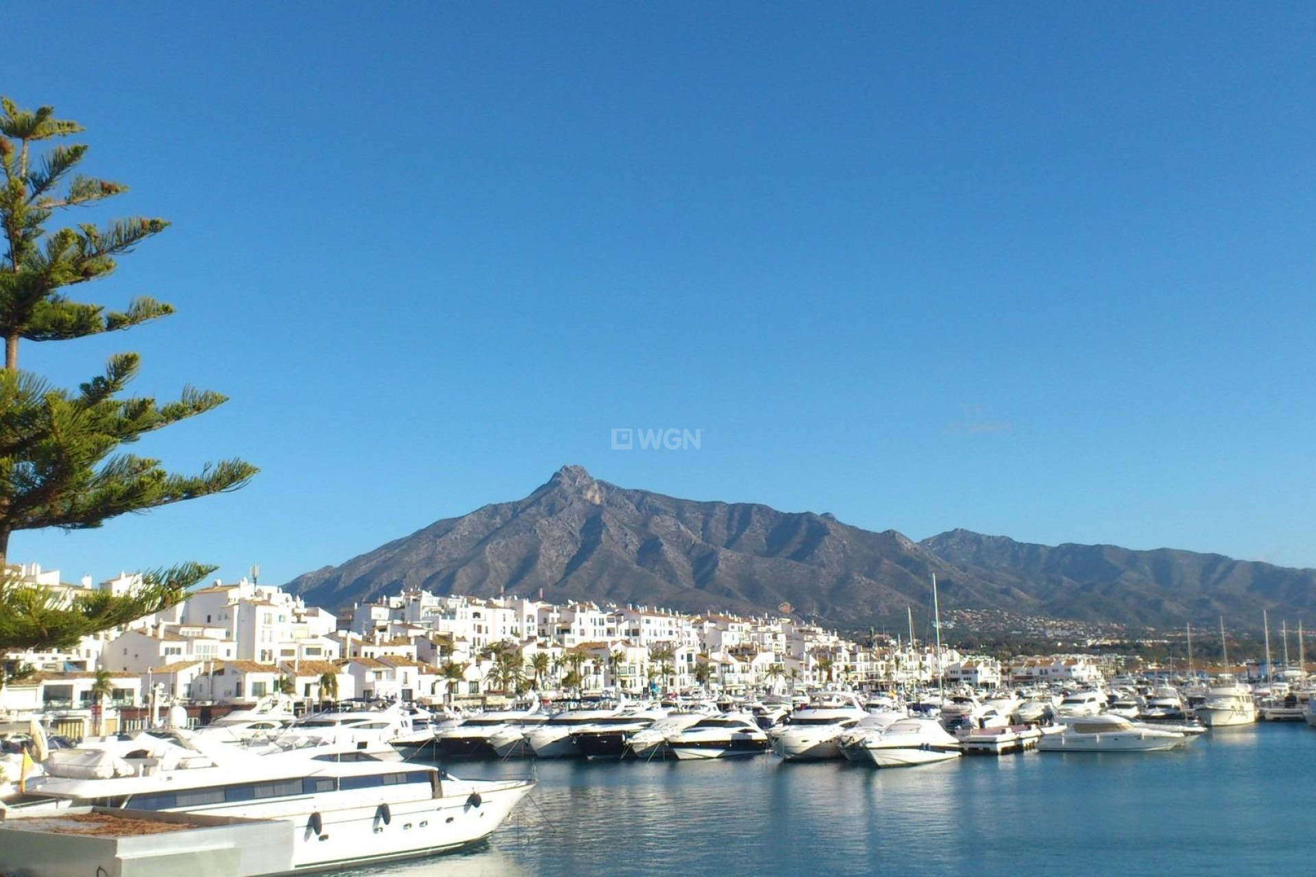New Build - Apartment / flat - Marbella - Nueva Andalucia