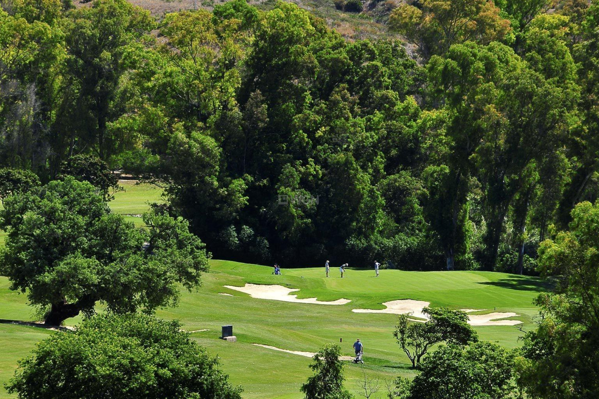 New Build - Apartment / flat - Mijas - Mijas Golf