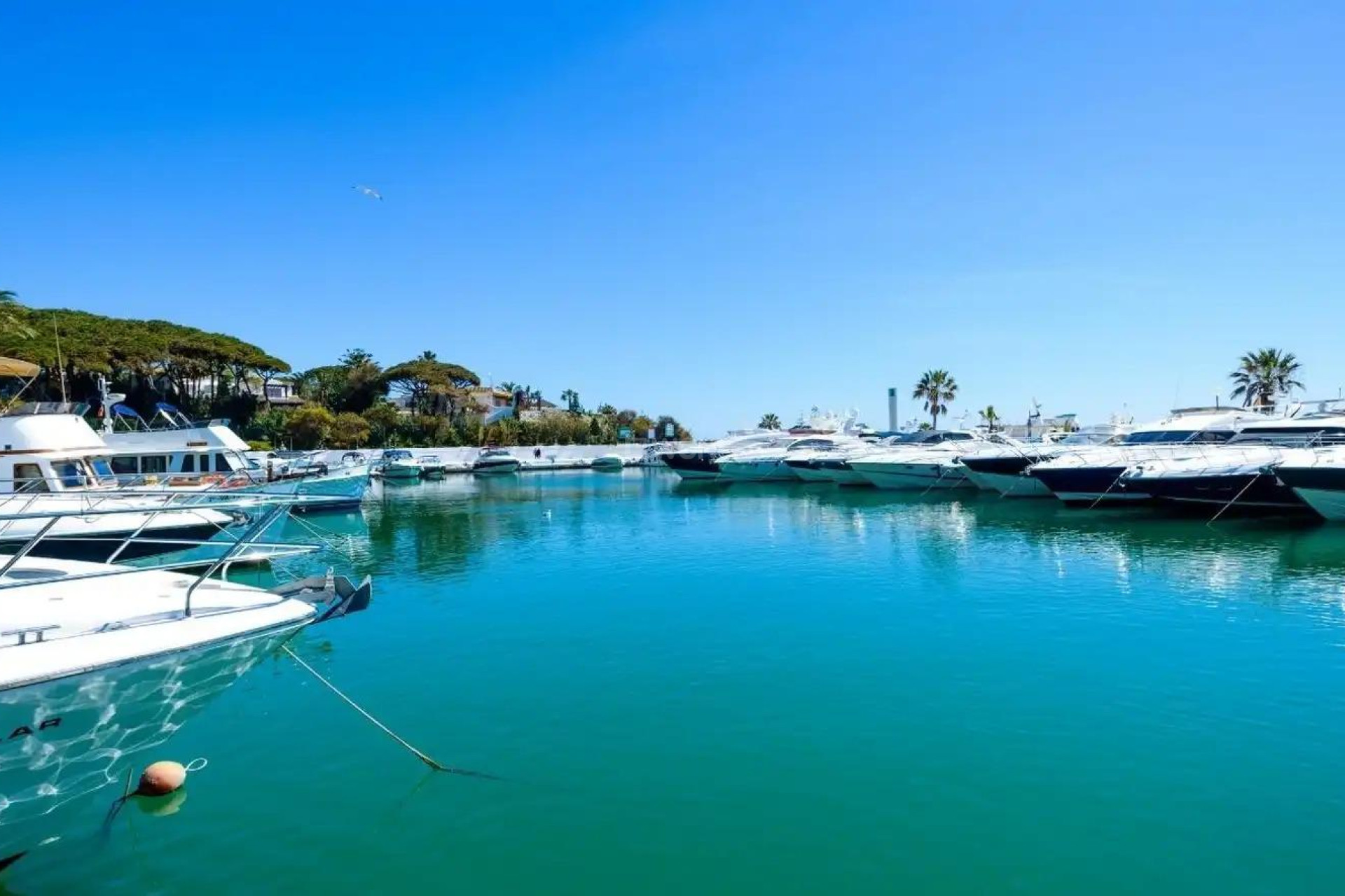 New Build - Ground floor apartment - Marbella - Cabopino Golf