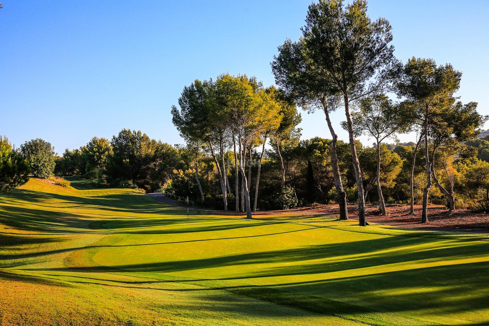 New Build - Villa - Orihuela - Las Colinas Golf