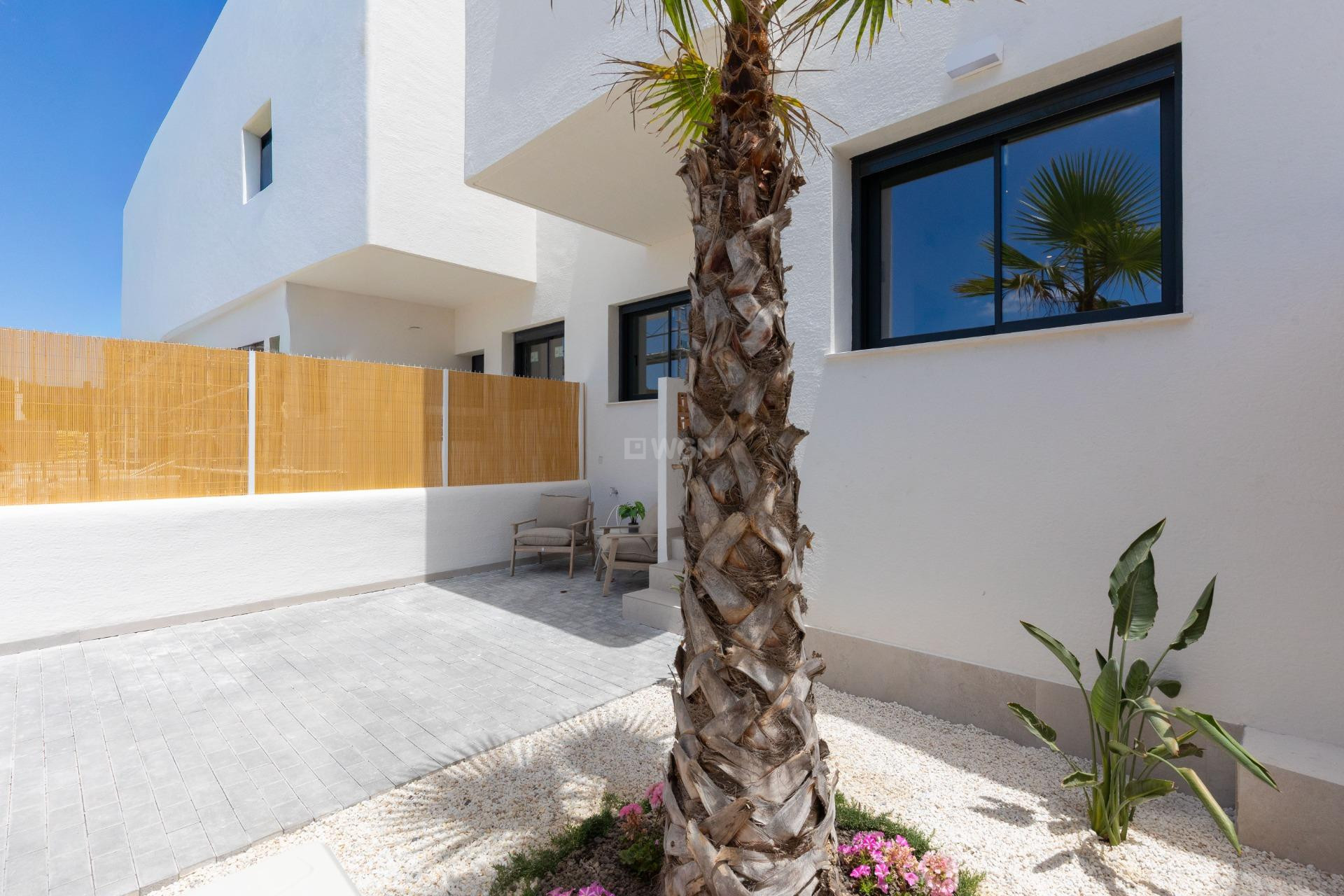 Nowy budynek - Bungalow - Dolores - Sector 3