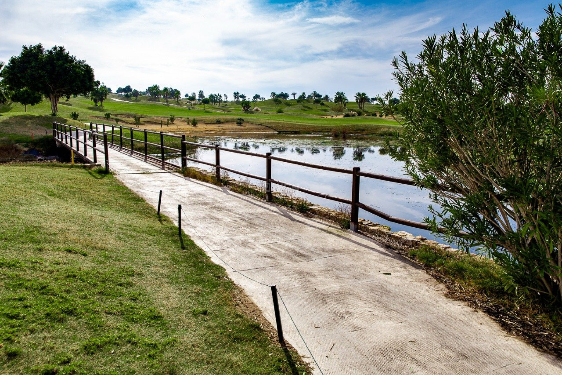 Nowy budynek - Bungalow - Orihuela - Vistabella Golf
