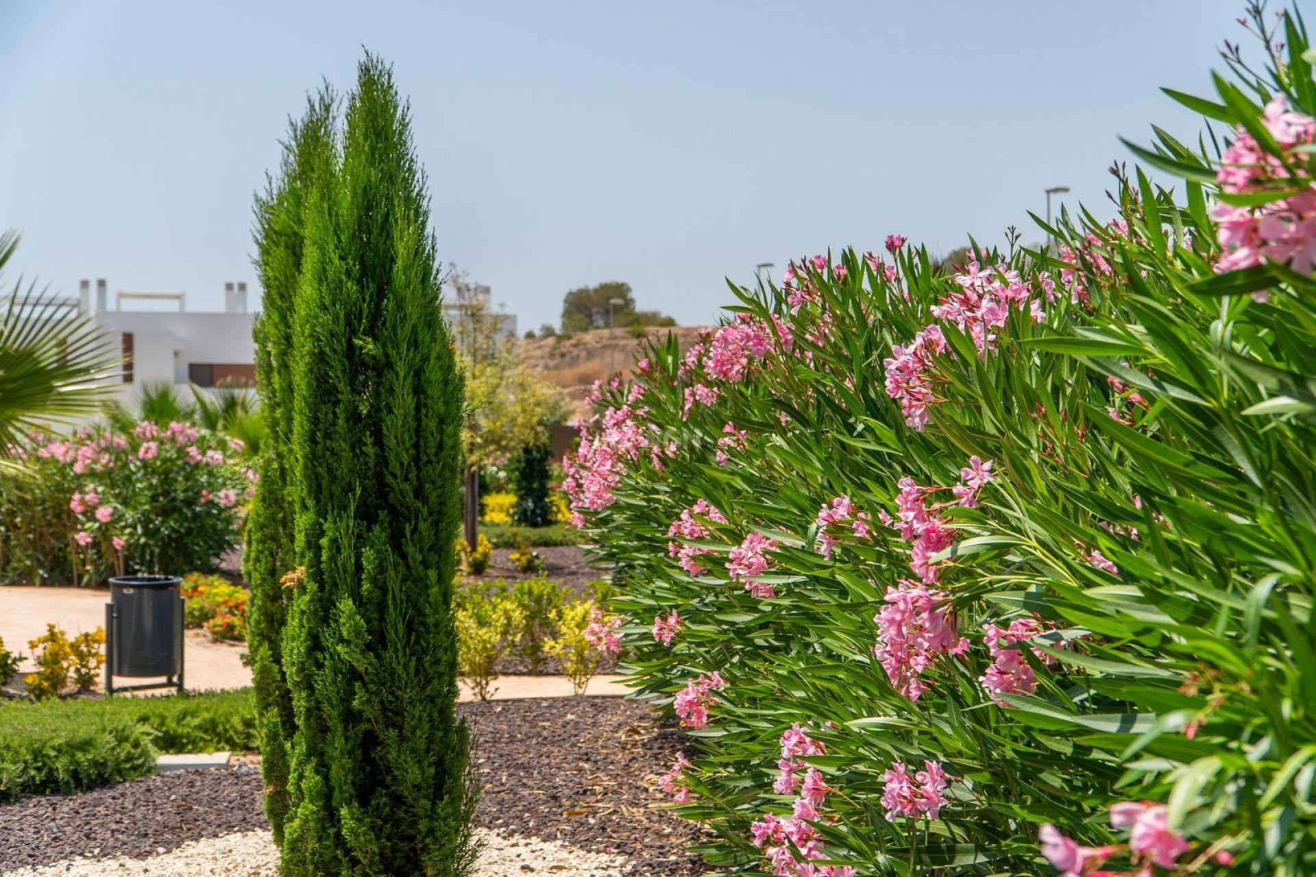 Nowy budynek - Bungalow - Orihuela - Vistabella Golf