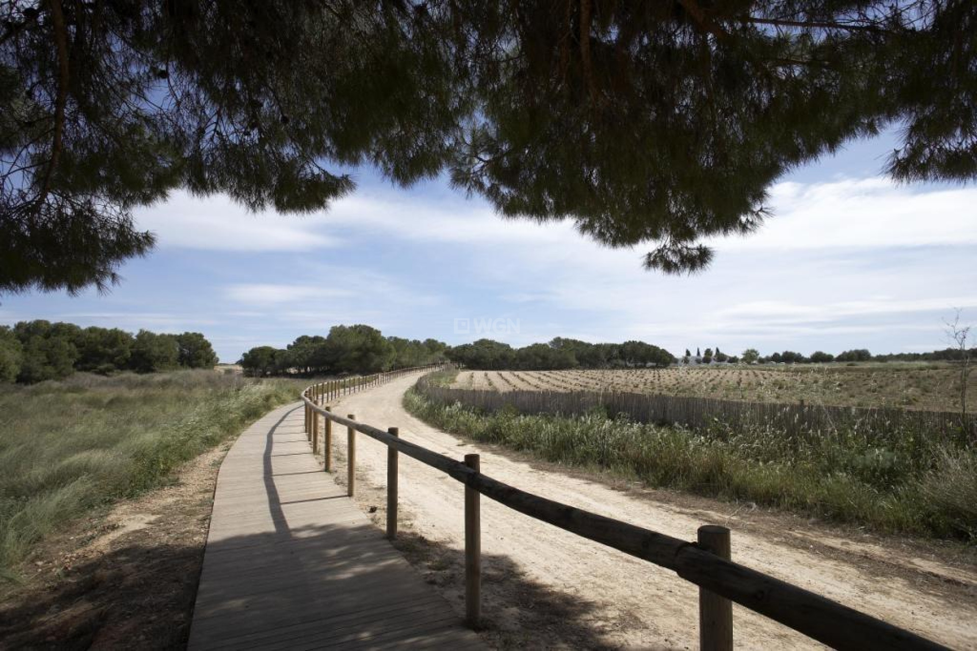 Nowy budynek - Bungalow - Torrevieja - aguas nuevas