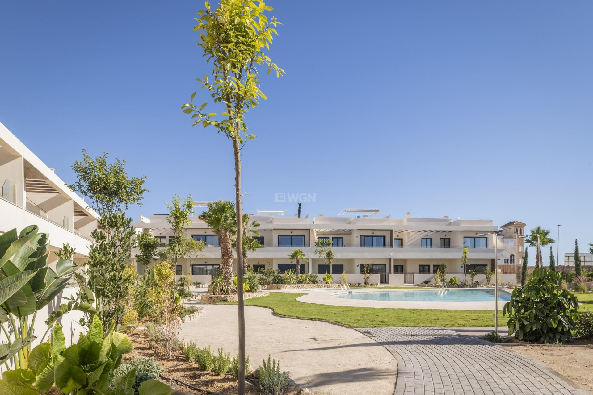 Nowy budynek - Bungalow - Torrevieja - Villa Amalia