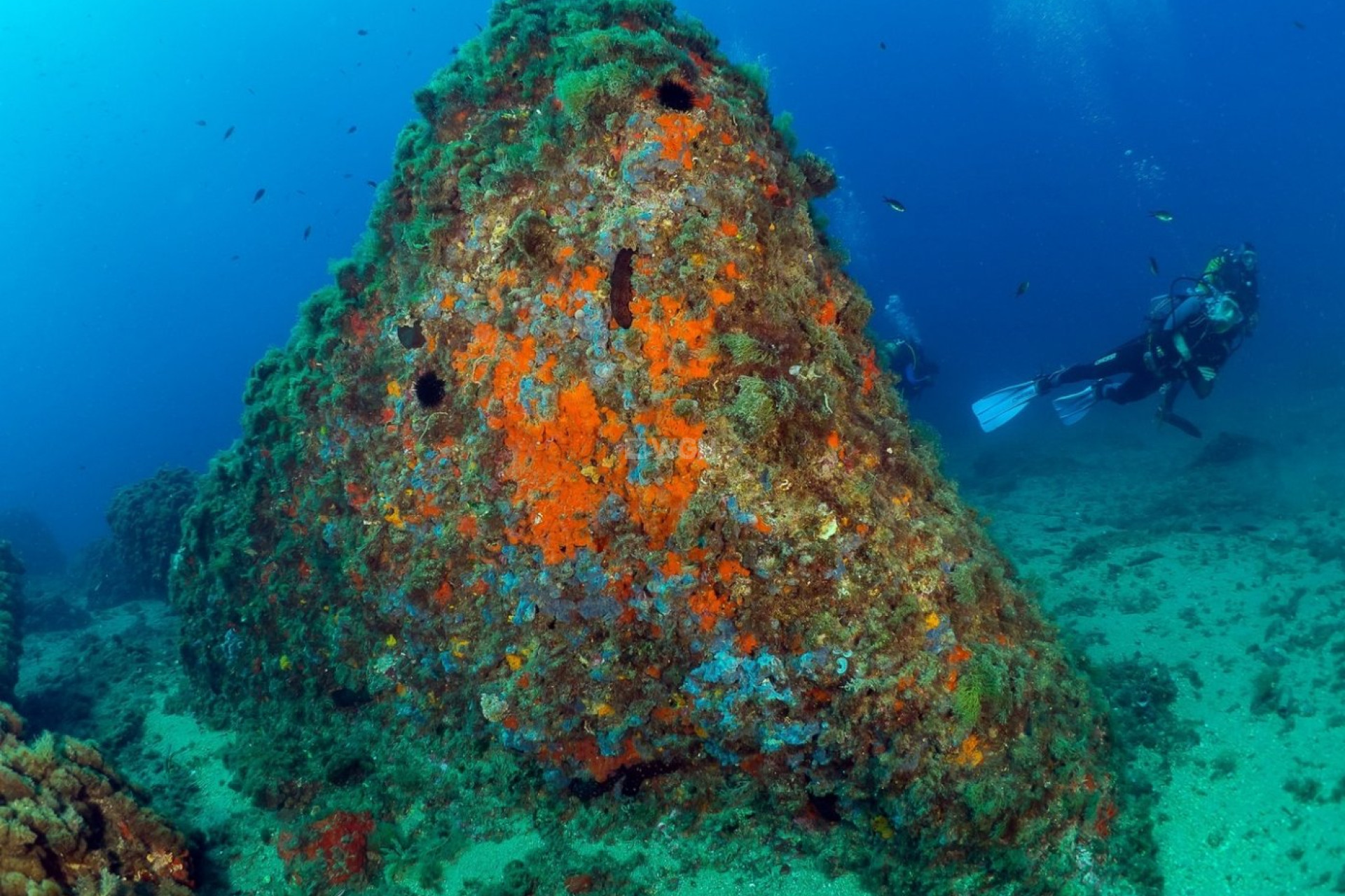 Nowy budynek - Daszek - Aguilas - Isla Del Fraile