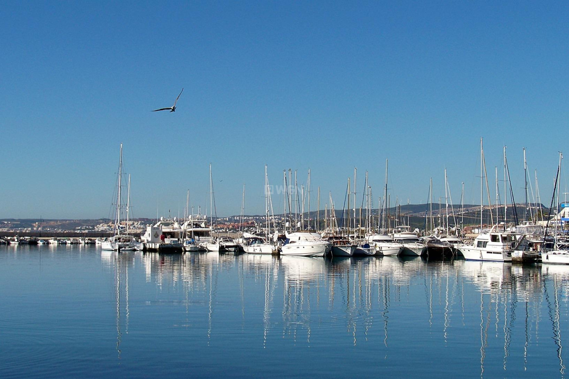 Nowy budynek - Daszek - Estepona - Buenas Noches