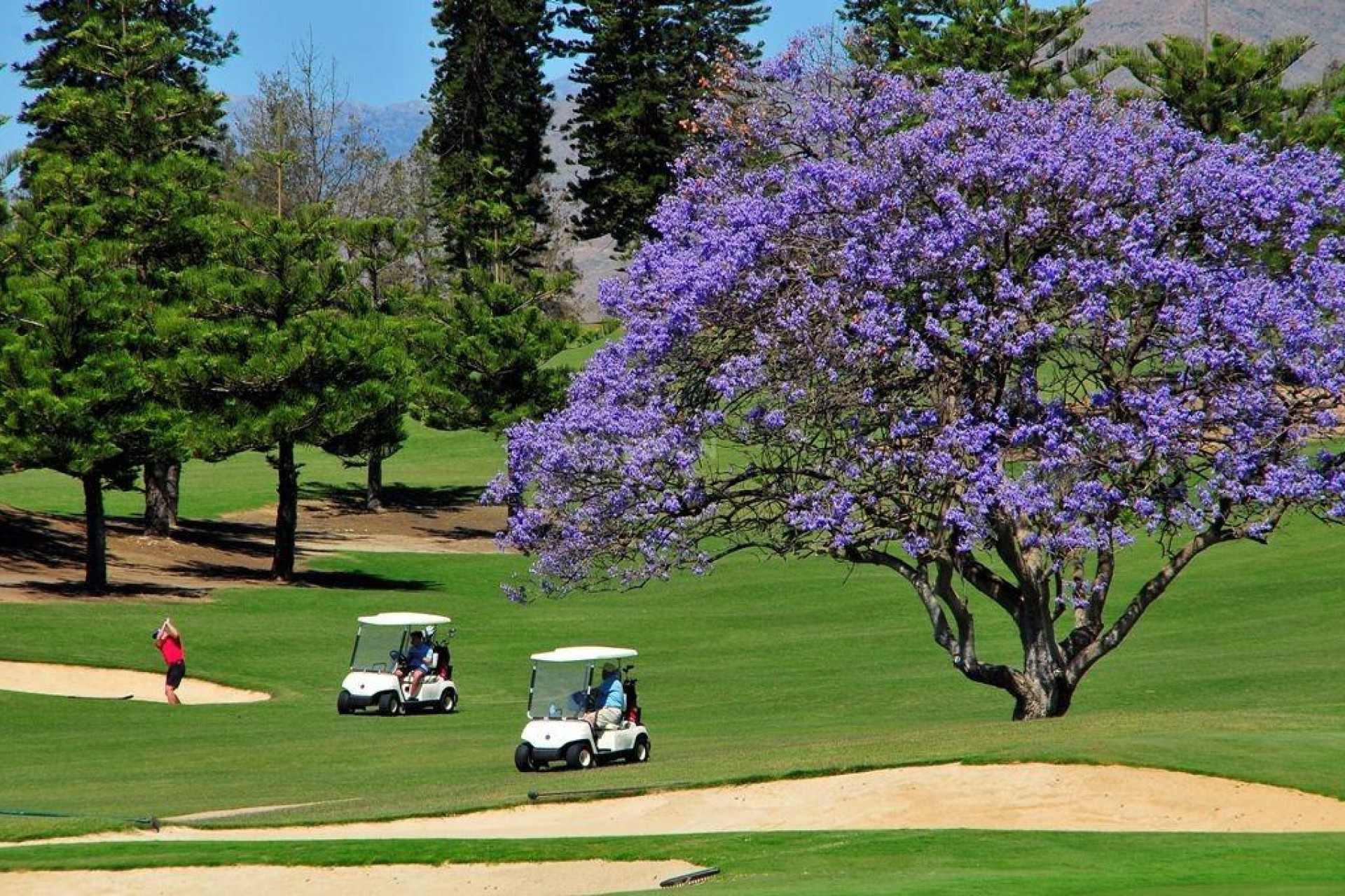Nowy budynek - Daszek - Mijas - La Noria Golf