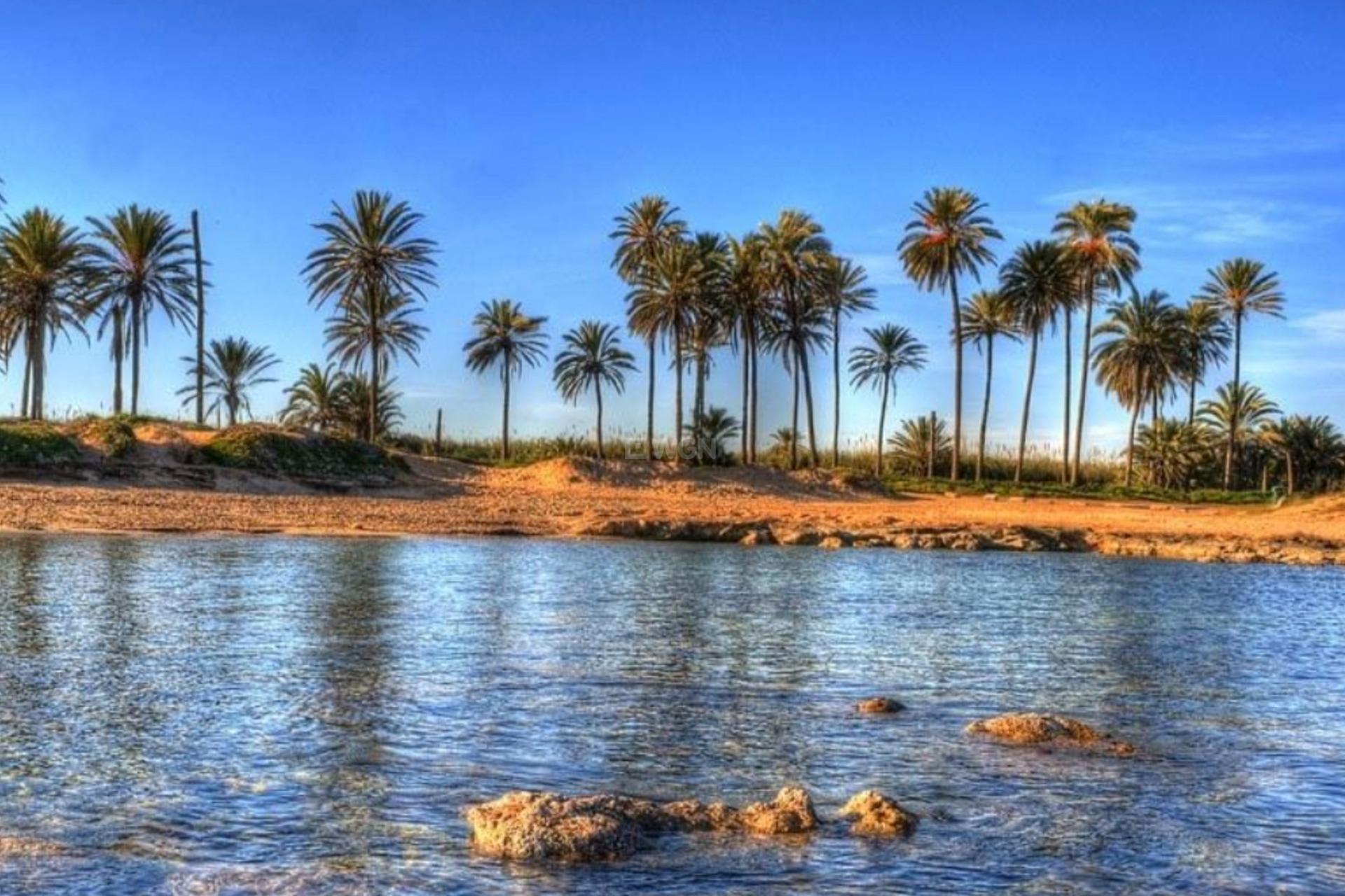 Nowy budynek - Daszek - Torrevieja - Playa de El Cura