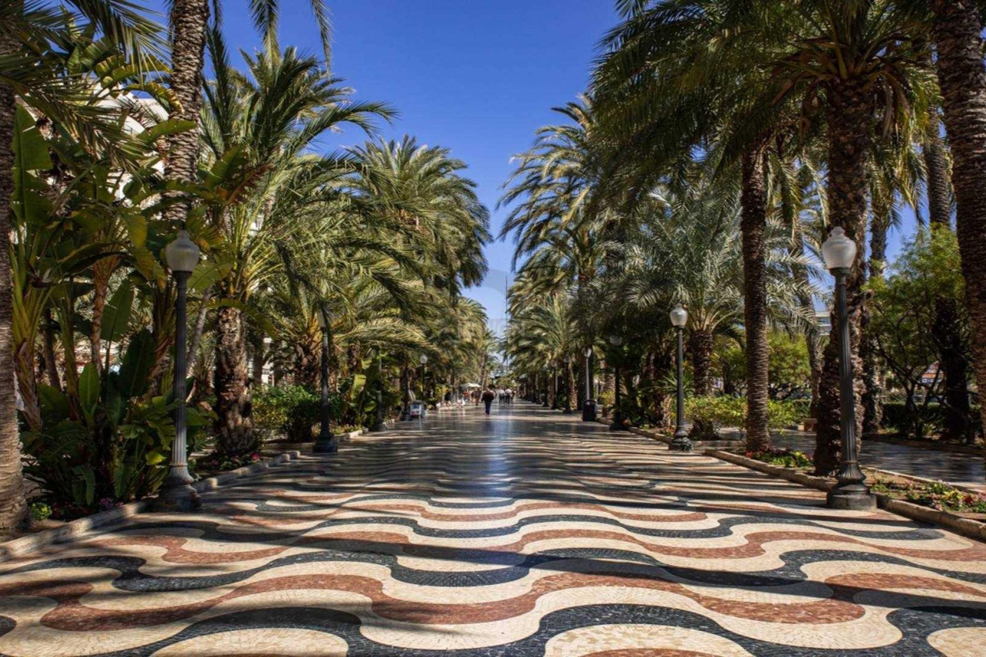 Nowy budynek - Mieszkanie w bloku - Alicante - Centro