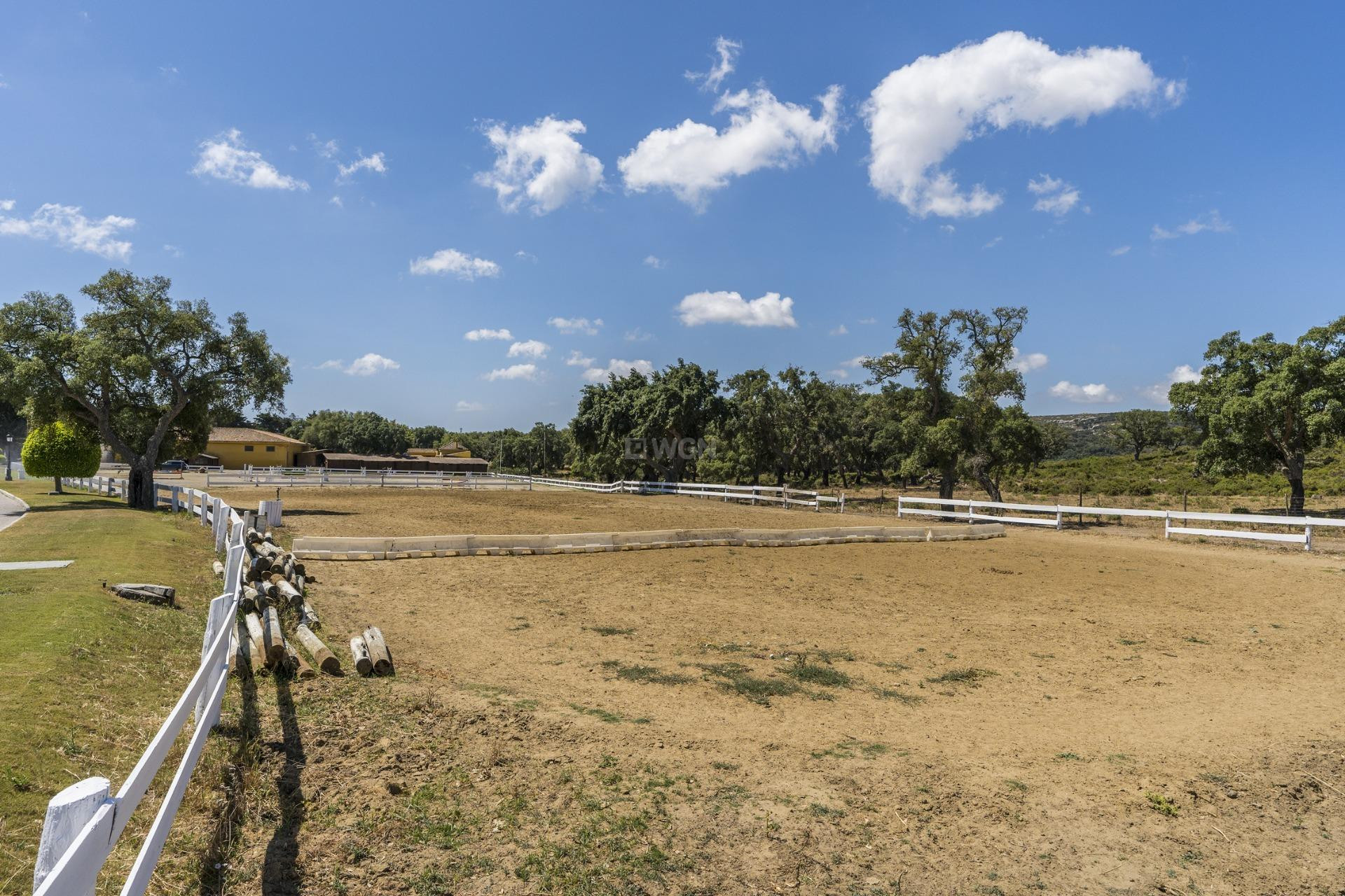 Nowy budynek - Mieszkanie w bloku - Sotogrande - San Roque Club