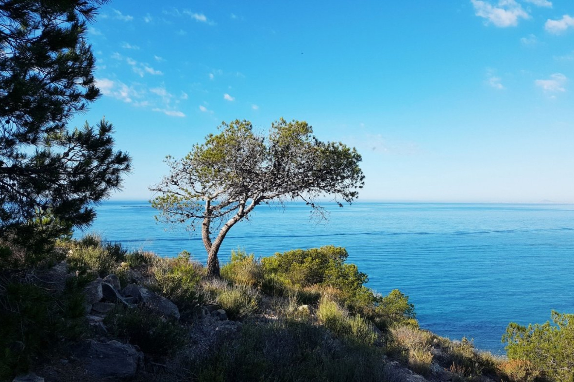 Nowy budynek - Mieszkanie w bloku - Villajoyosa - Playas Del Torres