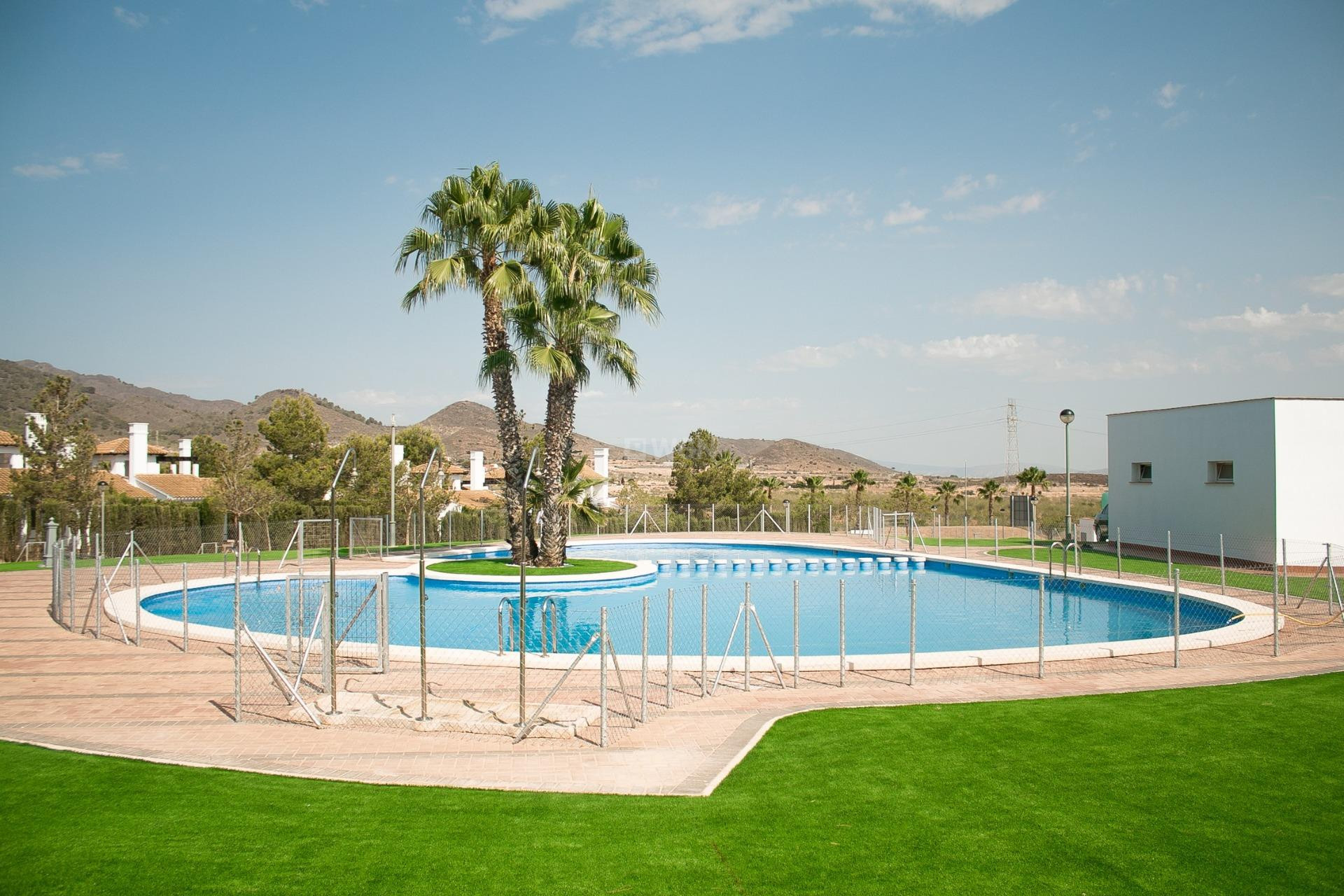 Nowy budynek - Villa - Fuente Álamo - Las Palas