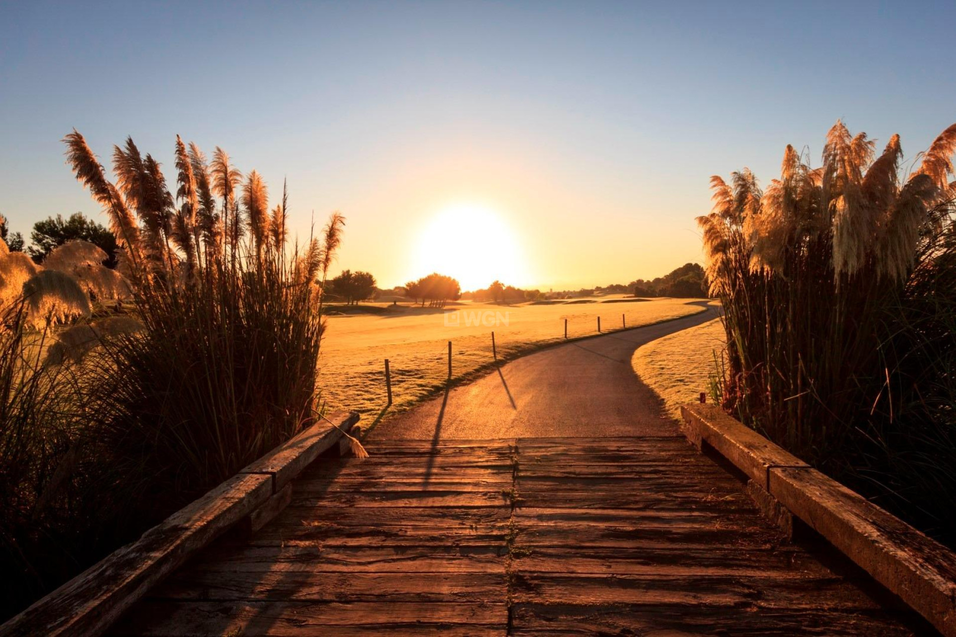 Nowy budynek - Villa - Pilar de la Horadada - Lo Romero Golf