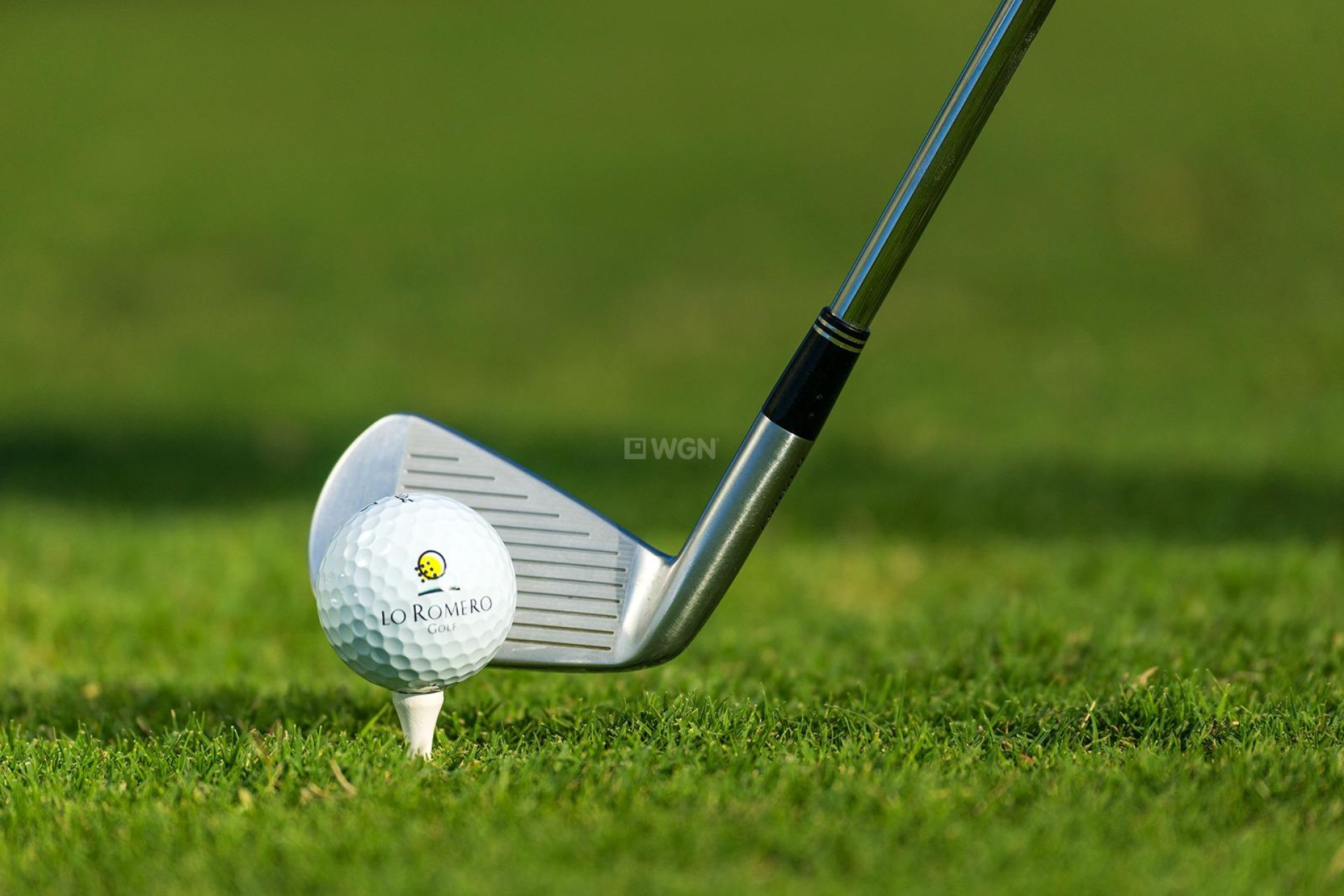 Nowy budynek - Villa - Pilar de la Horadada - Lo Romero Golf