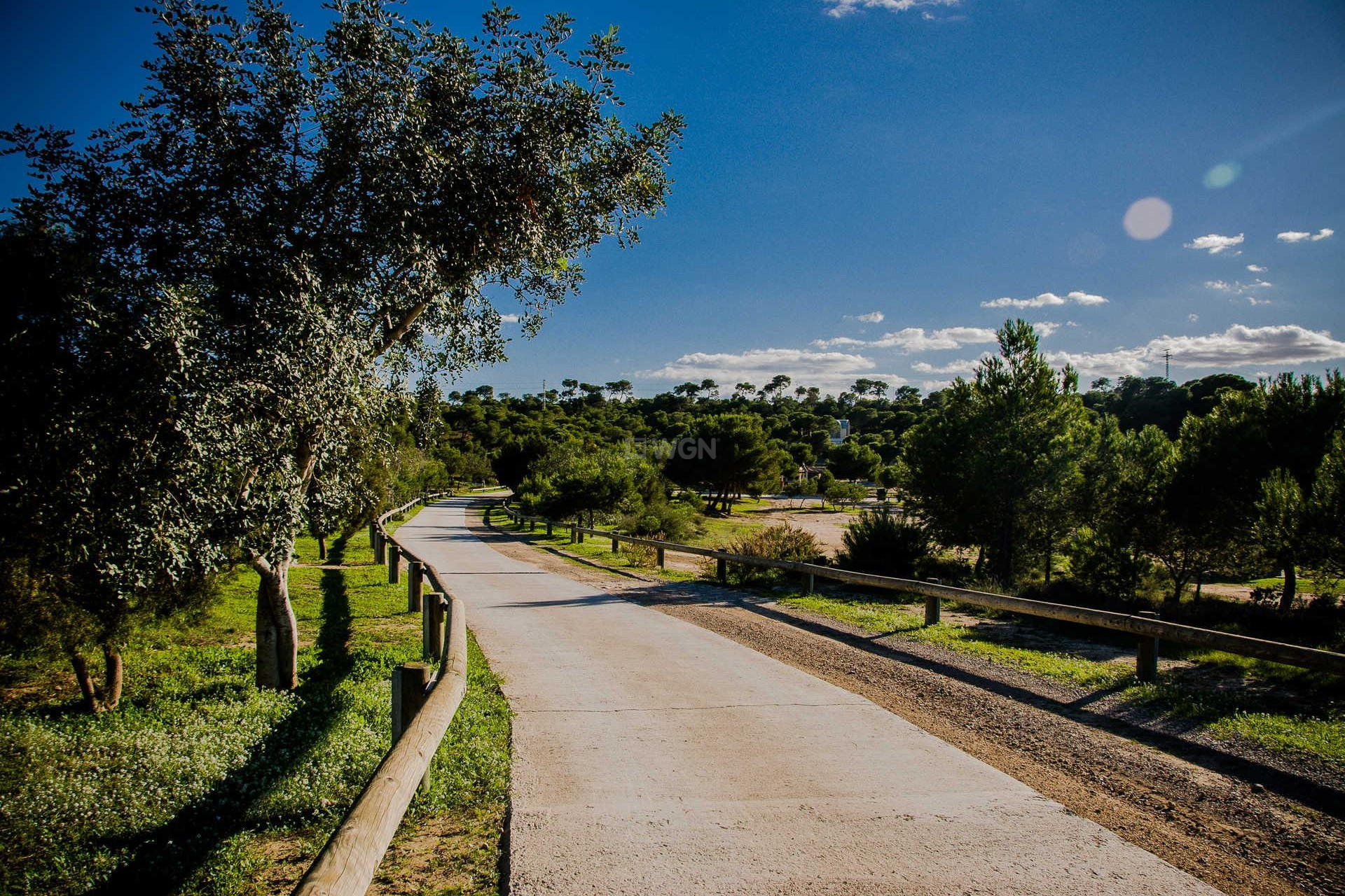 Nowy budynek - Villa - Rojales - Ciudad Quesada