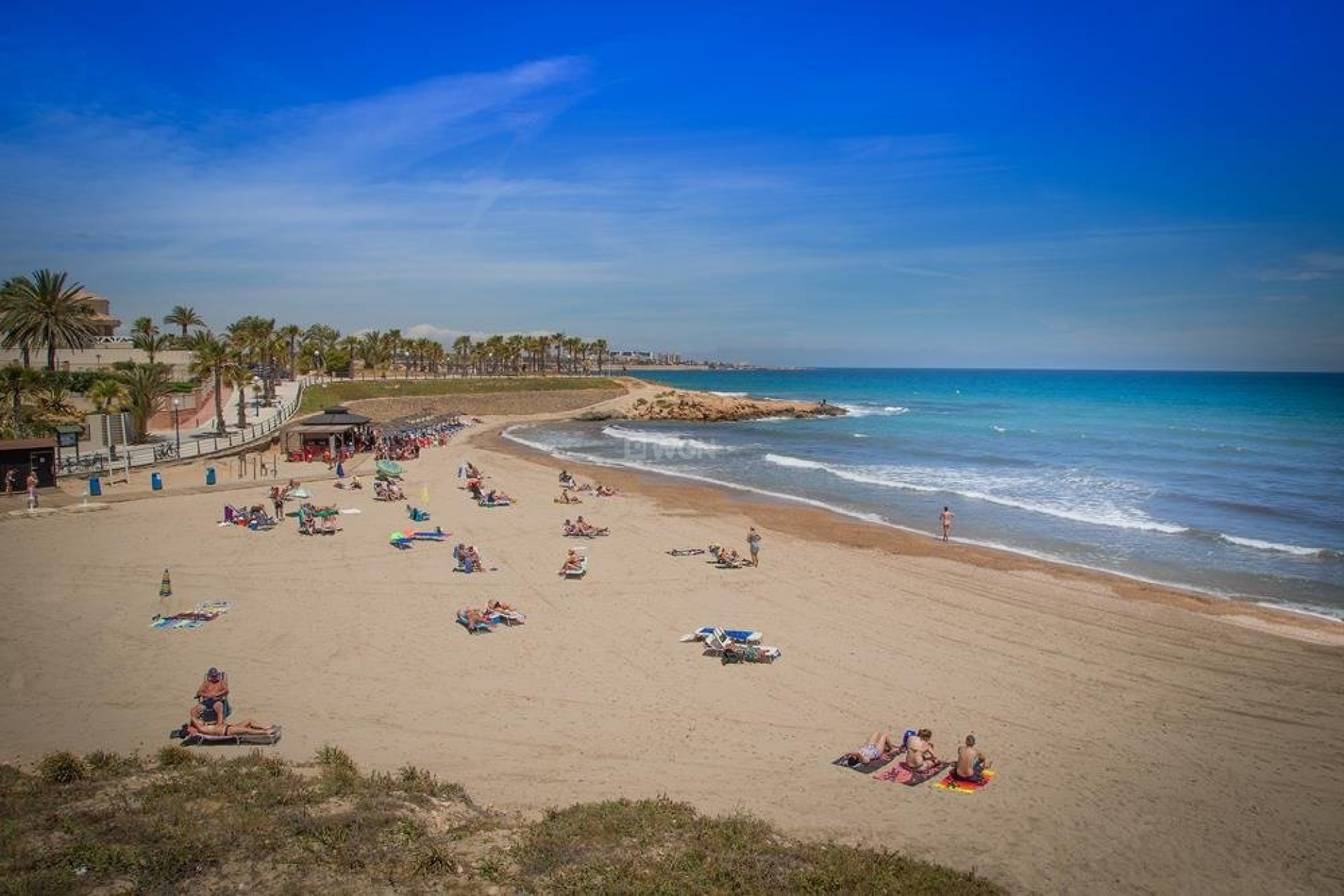 Nowy budynek - Villa - San Miguel de Salinas - Blue Lagoon