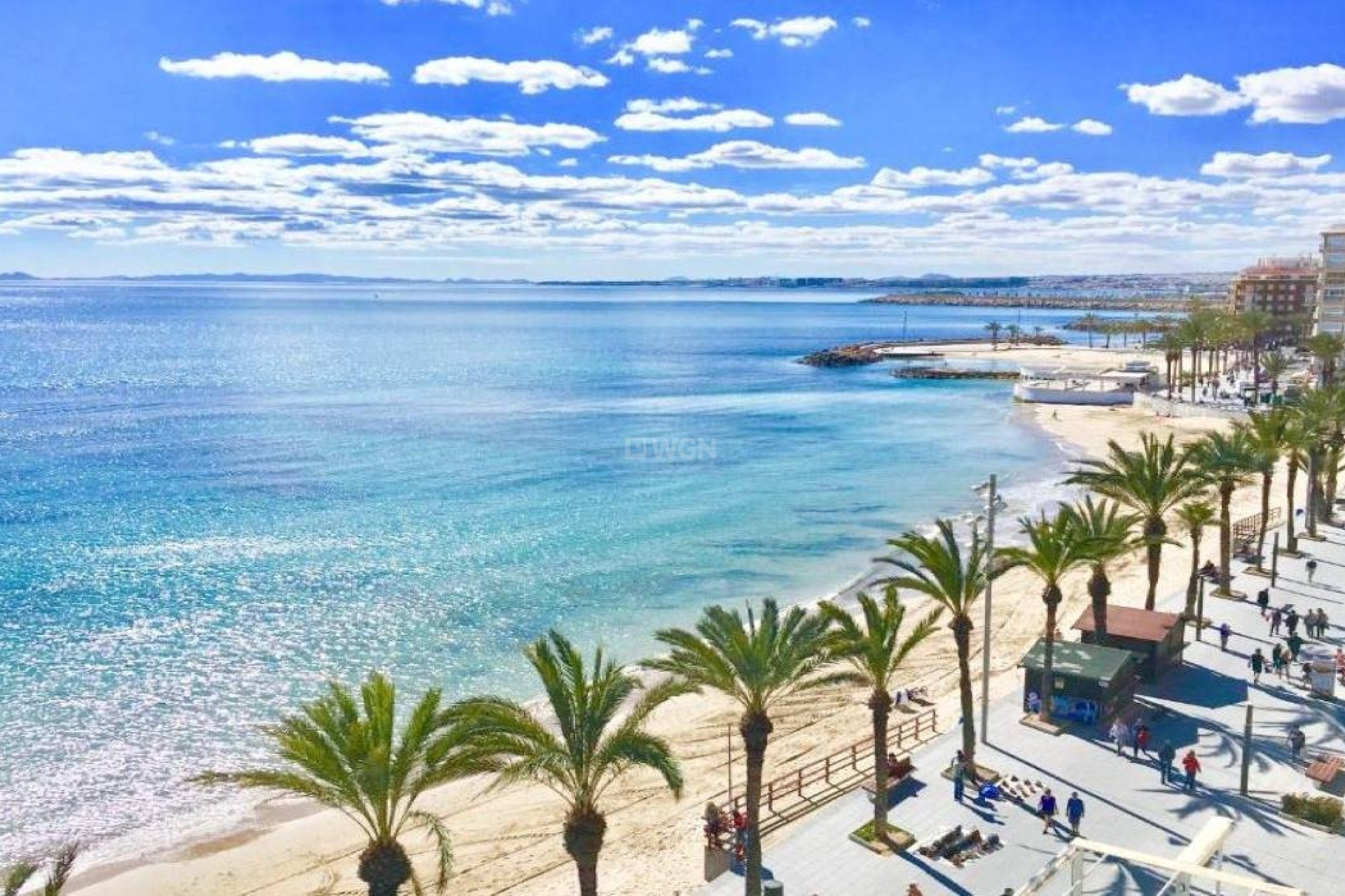 Nowy budynek - Villa - Torrevieja - Lago Jardín II