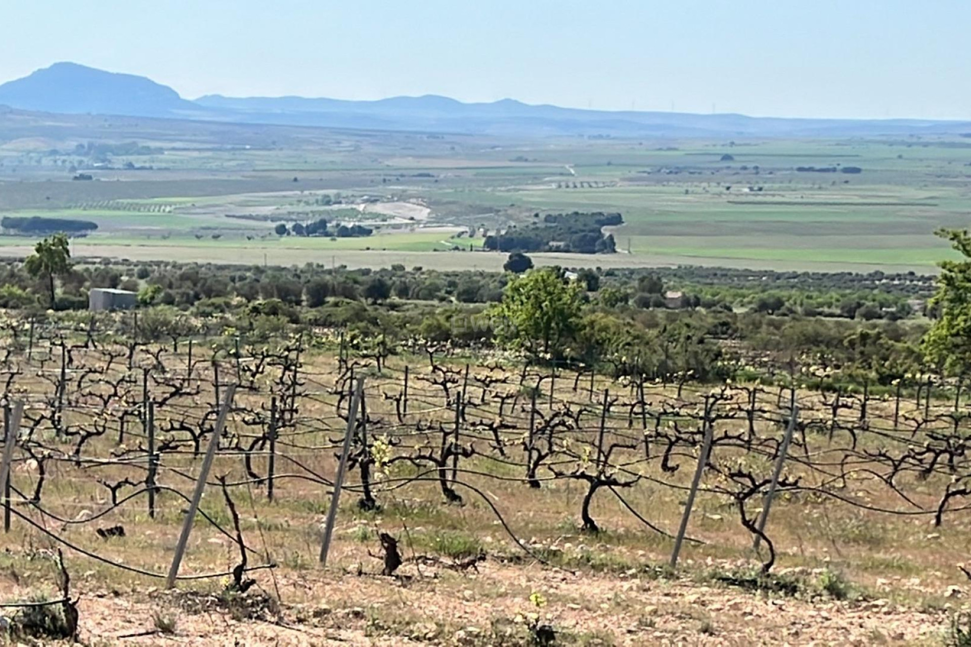 Nowy budynek - Villa - Yecla