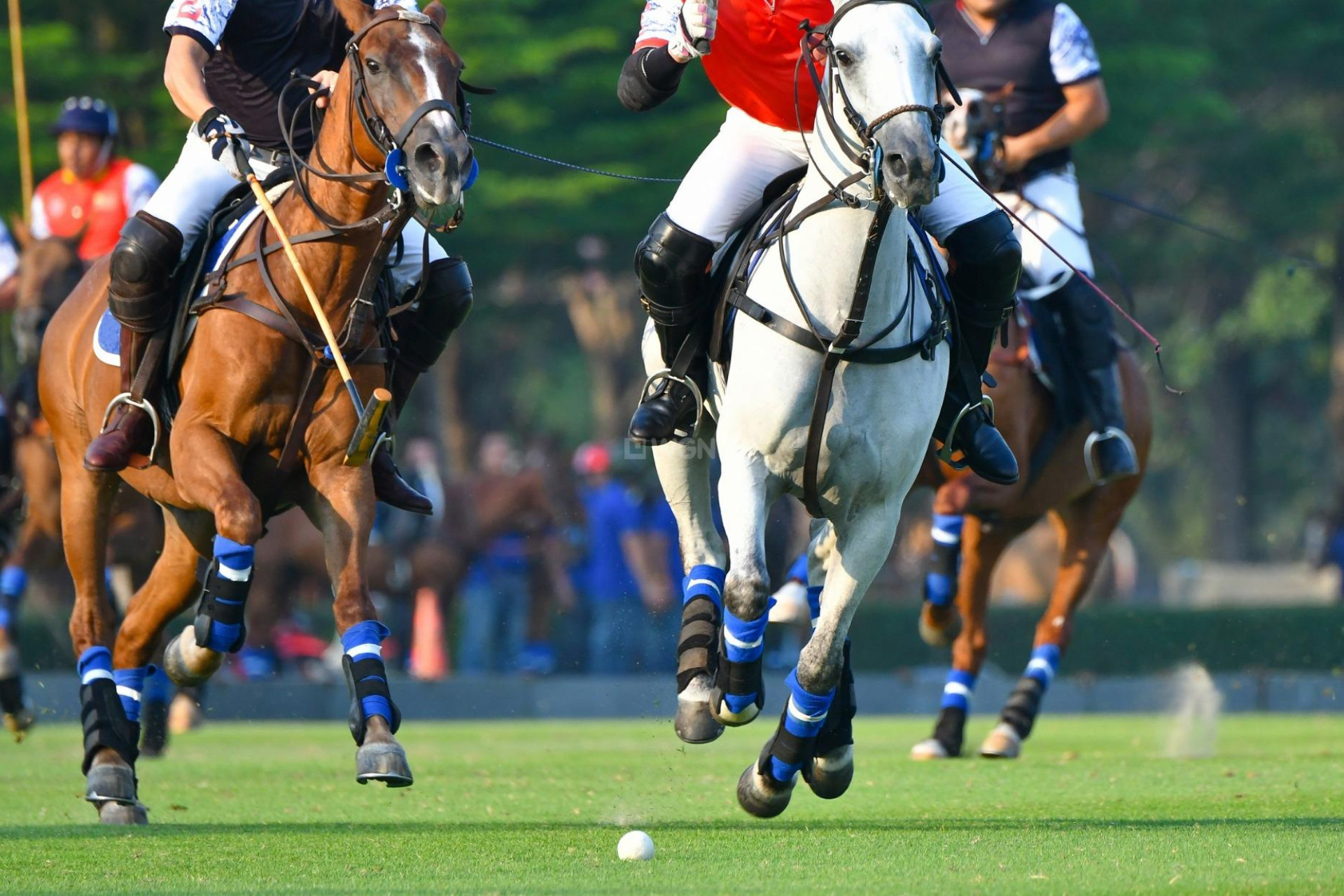 Obra nueva - Apartamento / piso - Manilva - Bahia De Las Rocas