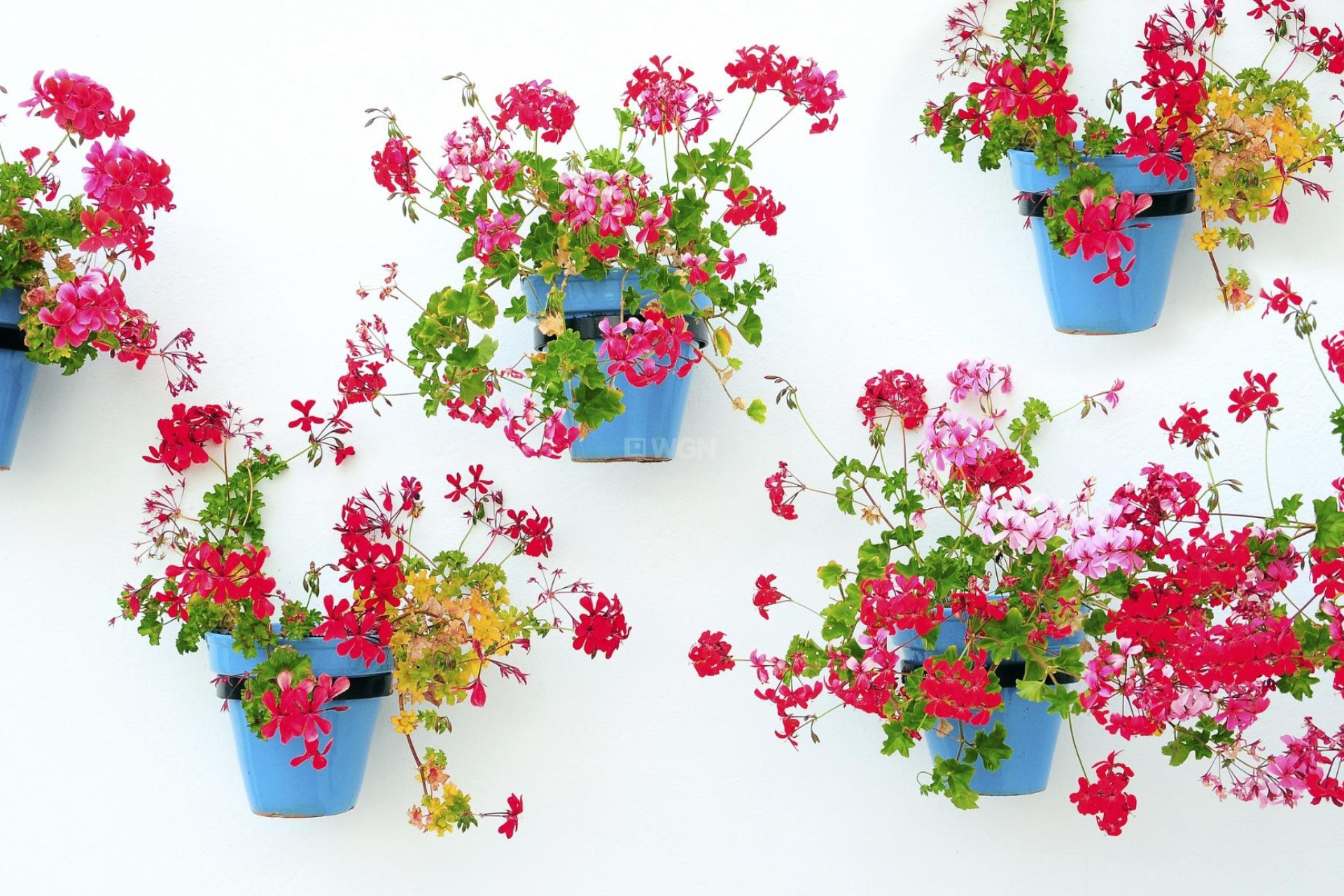 Obra nueva - Apartamento / piso - Mijas - La Noria Golf