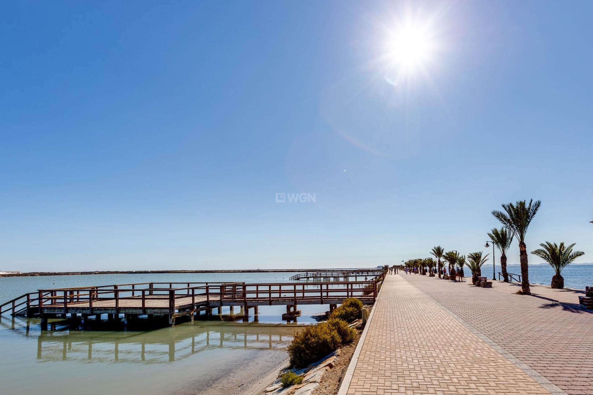 Obra nueva - Villa - Pilar de la Horadada