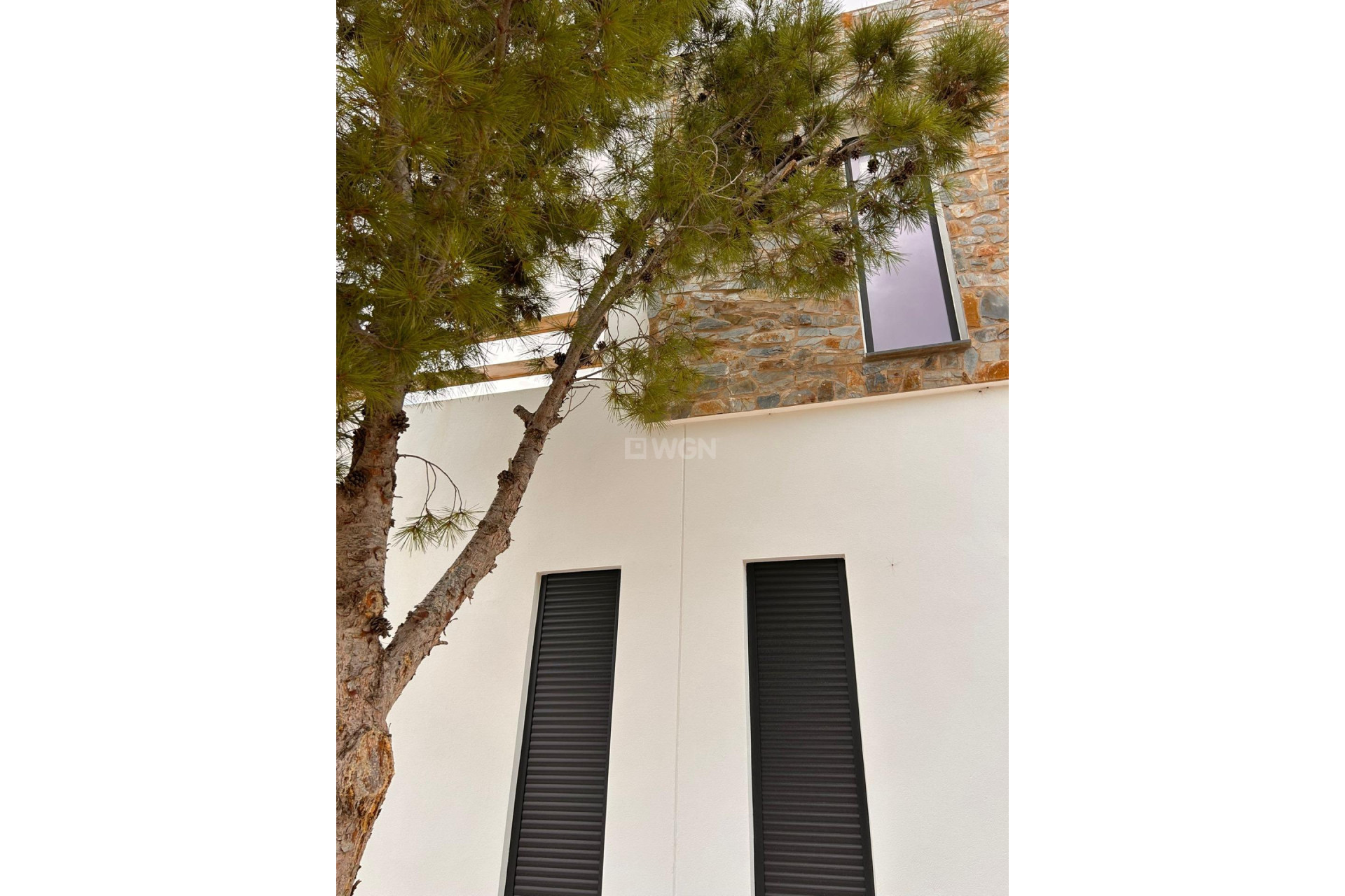 Obra nueva - Villa - Pinoso - Casas Pastor