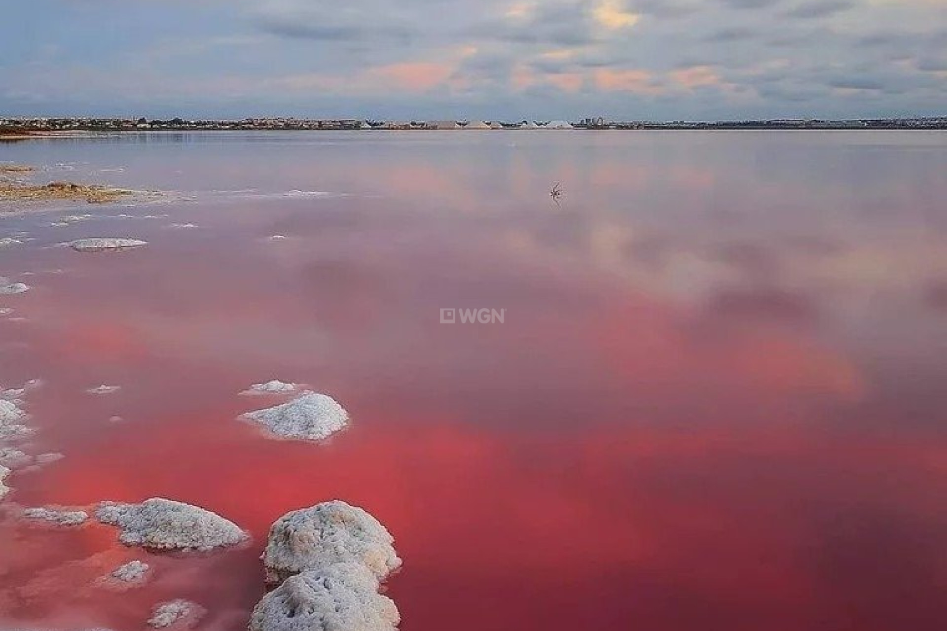 Obra nueva - Villa - Torrevieja - Lago Jardín II