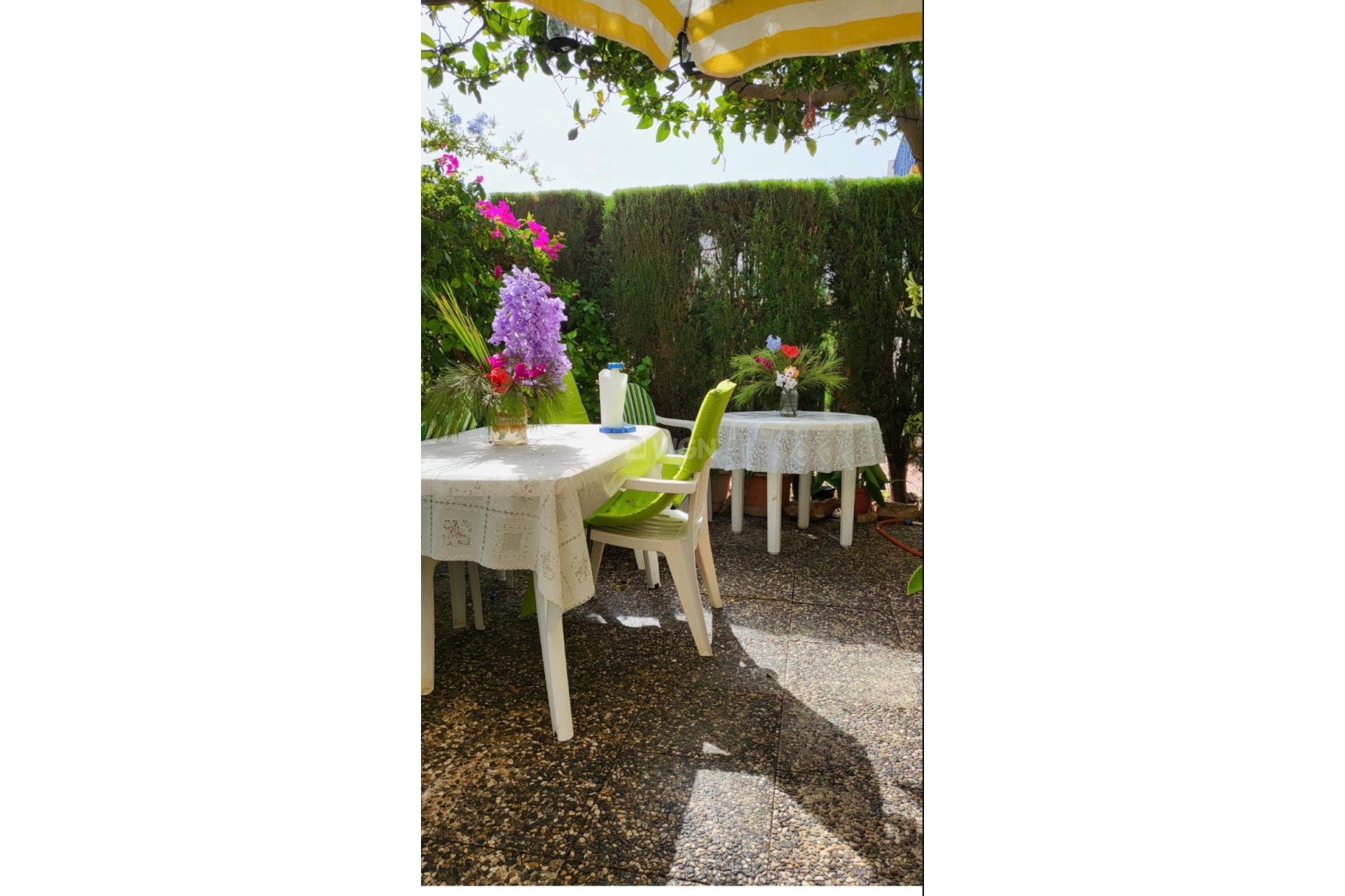 Odsprzedaż - Bungalow - Orihuela Costa - Costa Blanca