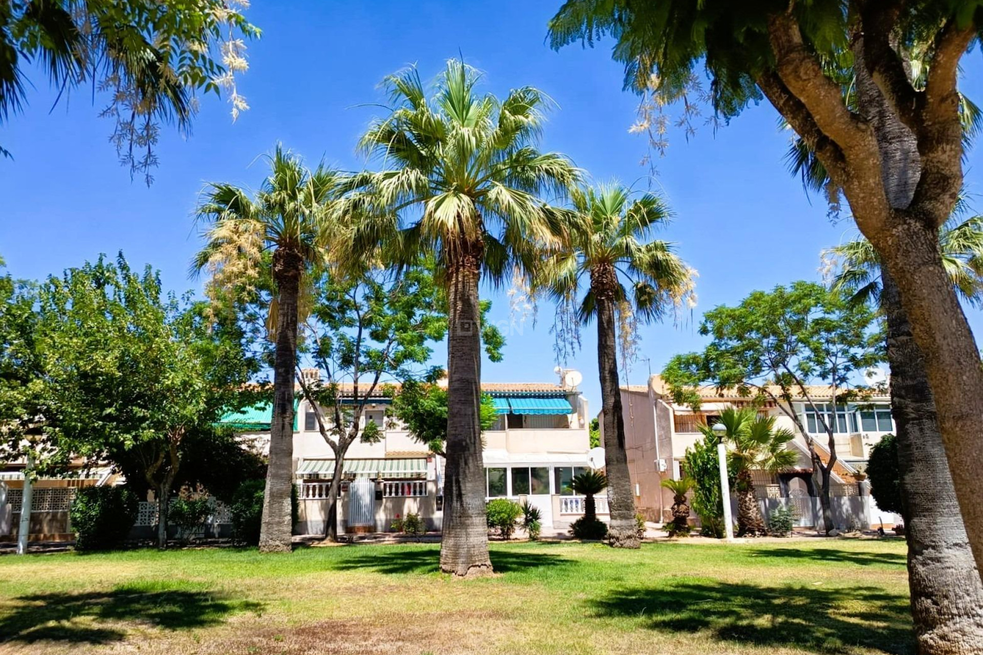 Odsprzedaż - Bungalow - Orihuela Costa - Costa Blanca