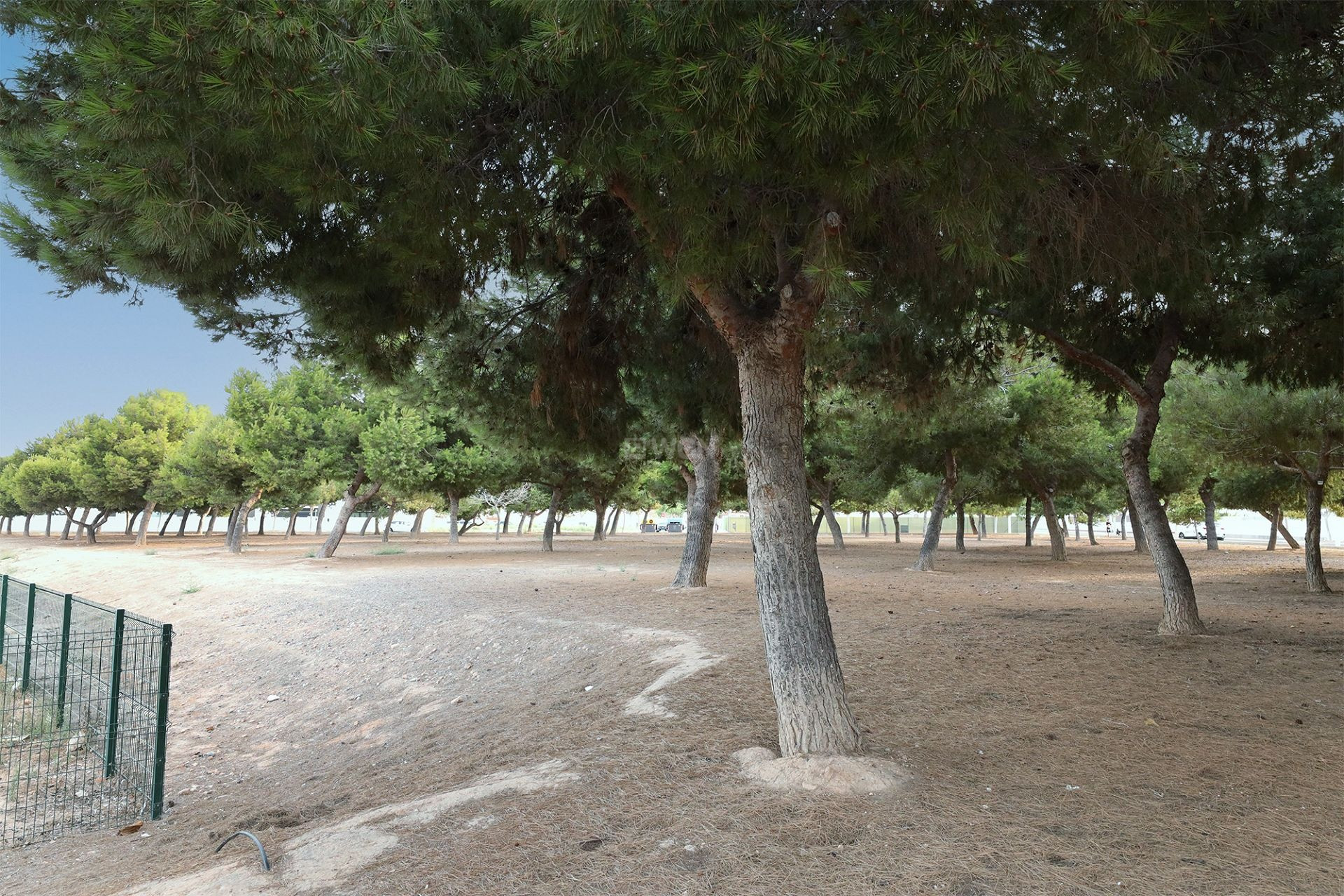 Odsprzedaż - Bungalow - San Pedro del Pinatar - Costa Calida