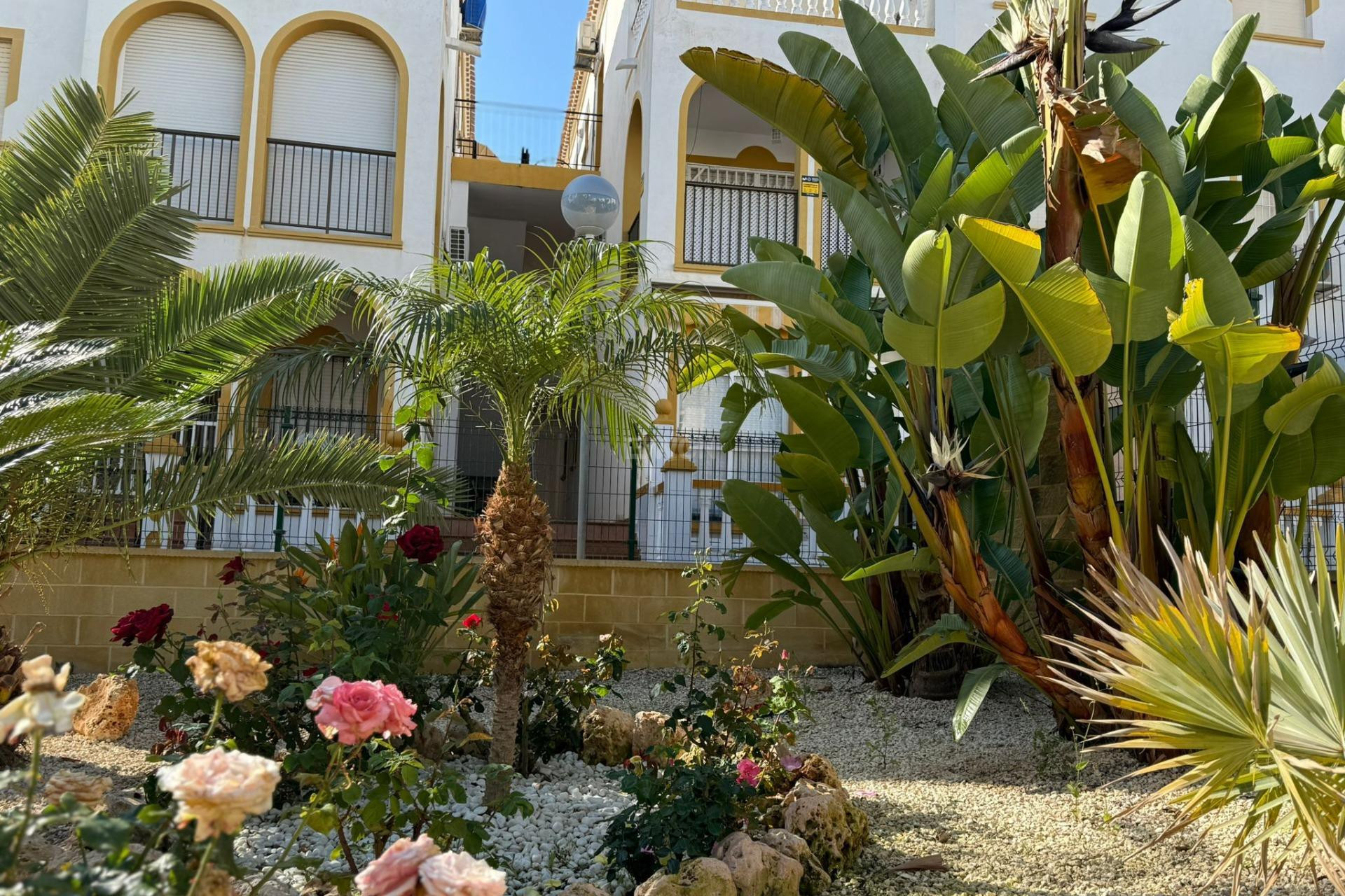 Odsprzedaż - Bungalow - Torrevieja - Cañada Del Molino