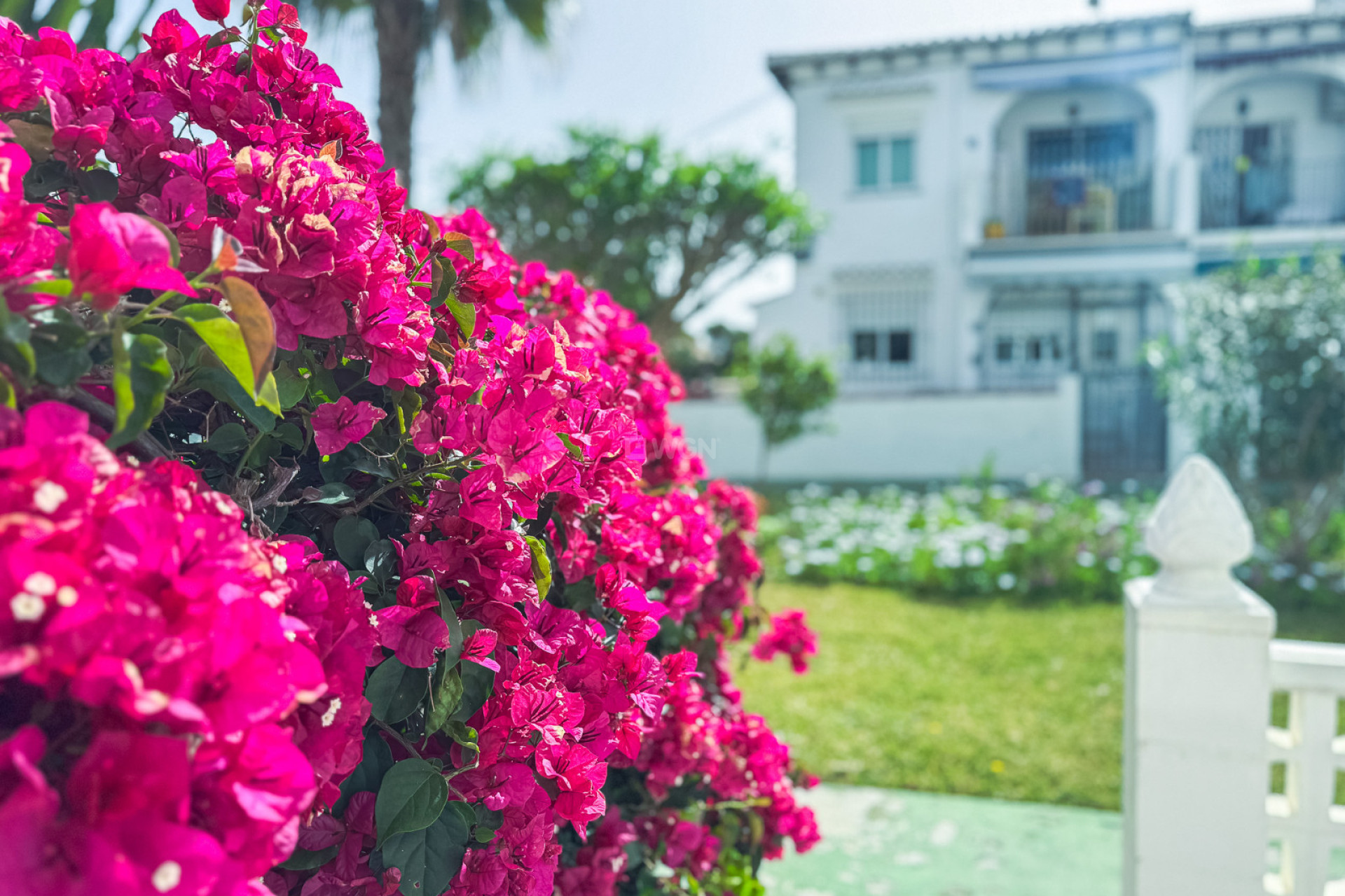 Odsprzedaż - Bungalow - Torrevieja - Costa Blanca