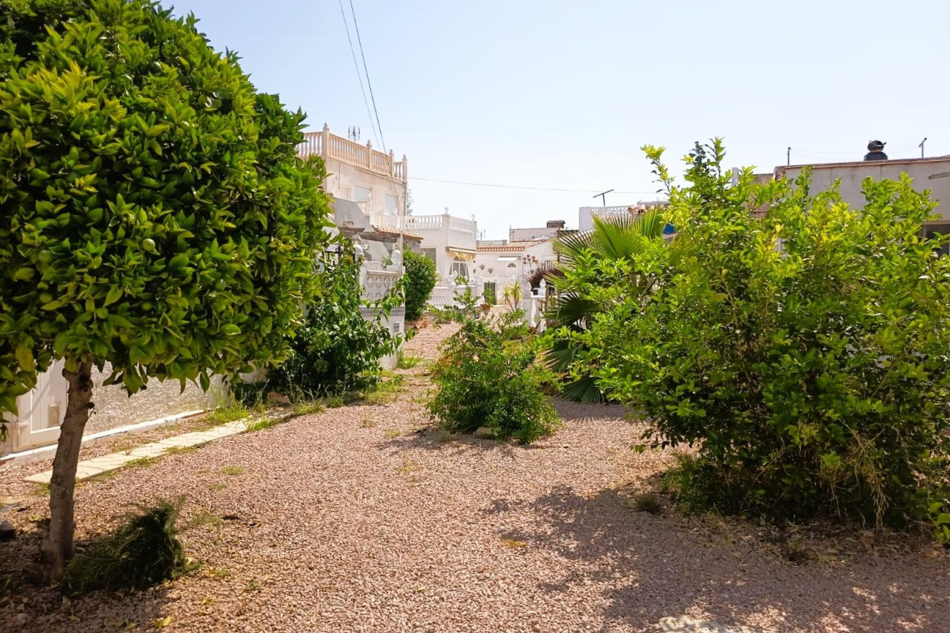 Odsprzedaż - Bungalow - Torrevieja - Costa Blanca